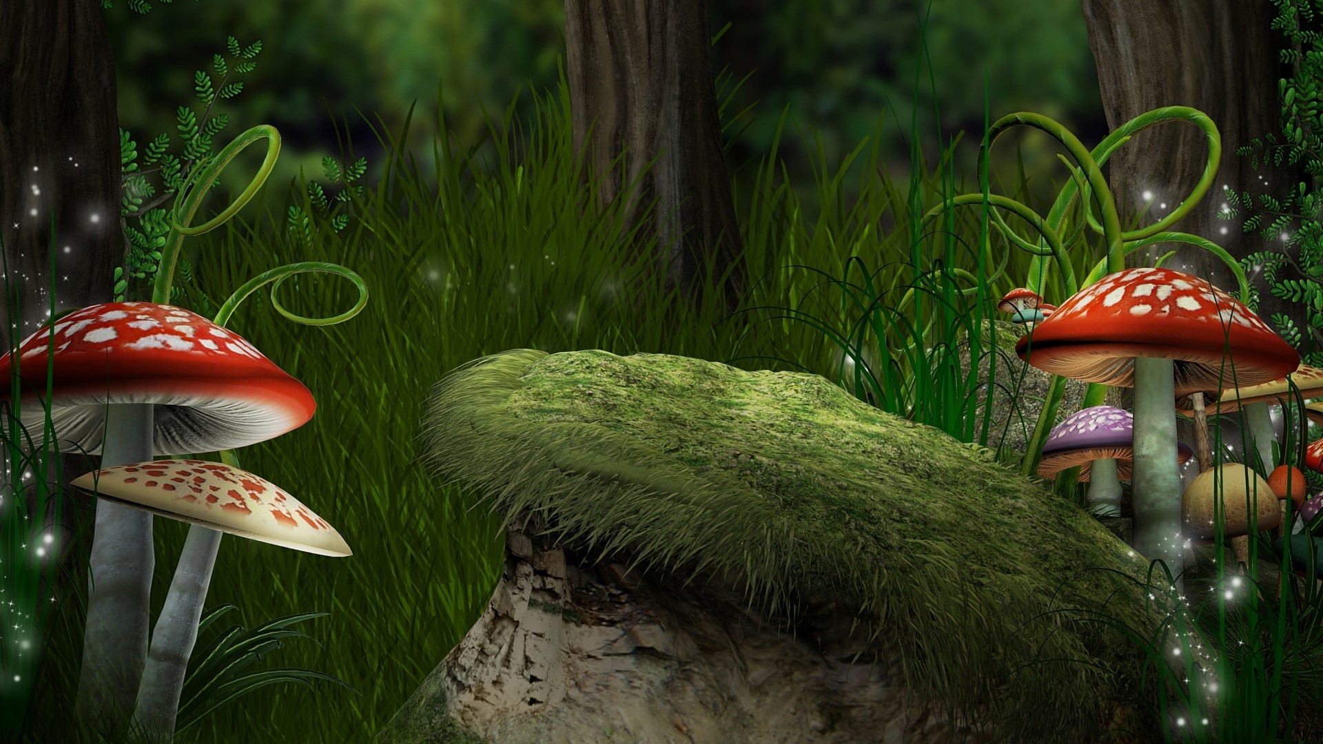 Fly agaric mushrooms in a forest clearing HD Wallpaper