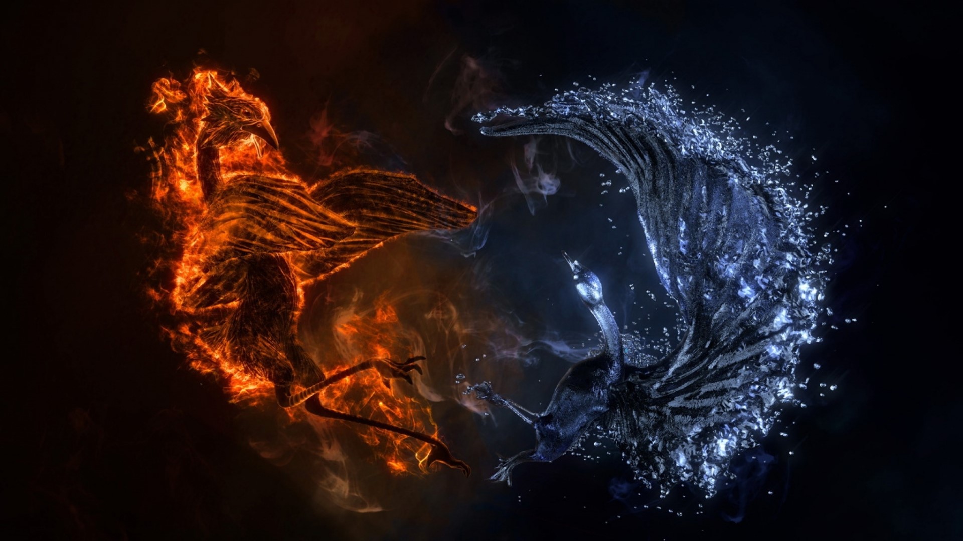Fire Bird vs Water Bird HD Wallpaper
