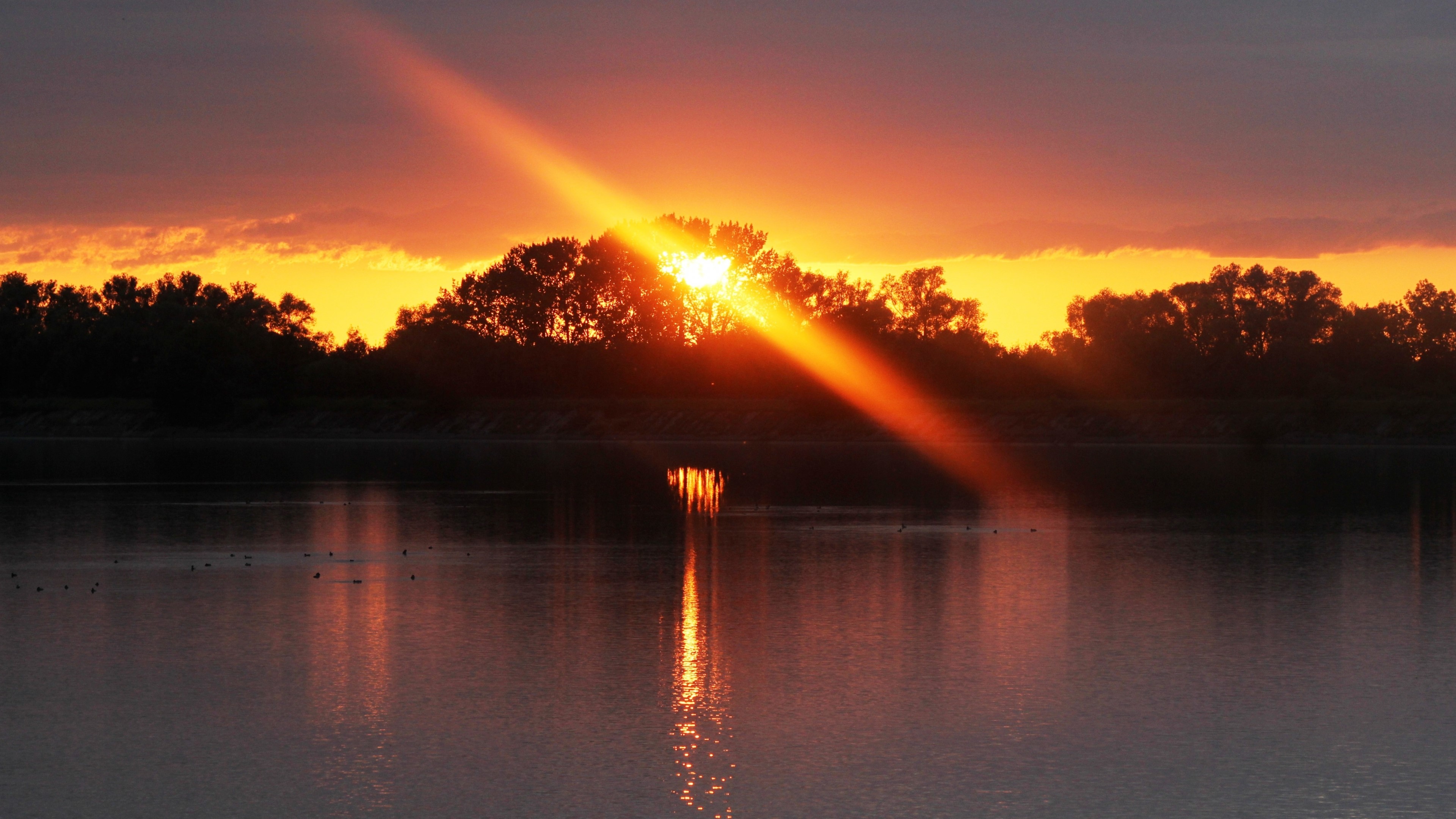 Sunset over a lake with trees and sun rays HD Wallpaper