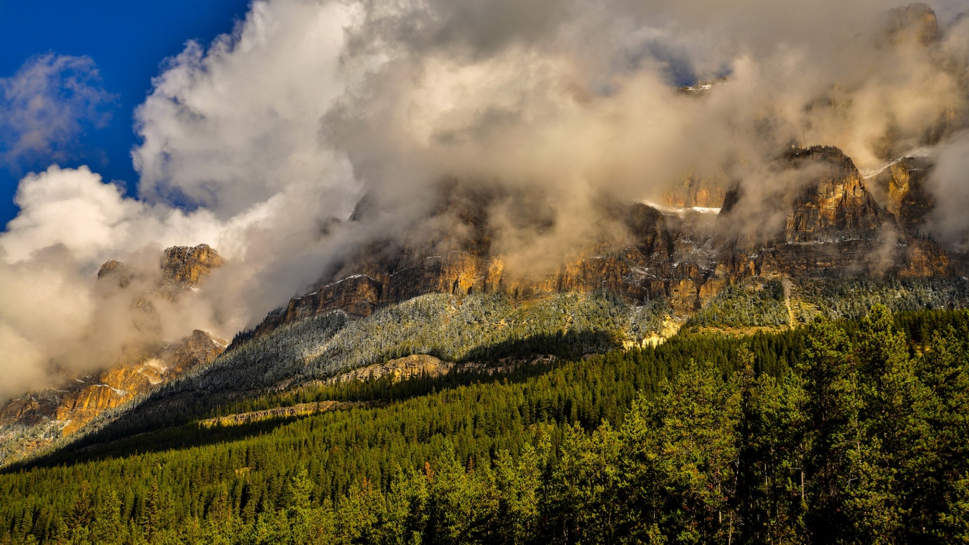 Mountains shrouded in clouds with pine forest HD Wallpaper