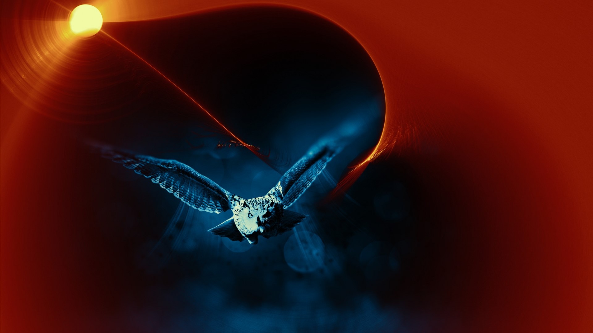Owl in flight against abstract background HD Wallpaper