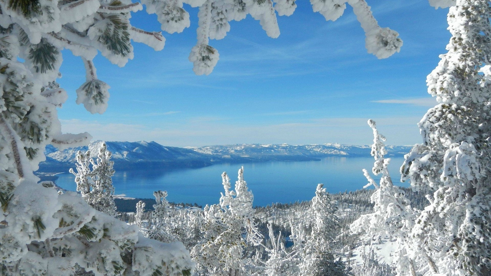 Snow-covered trees overlooking a lake and mountains HD Wallpaper