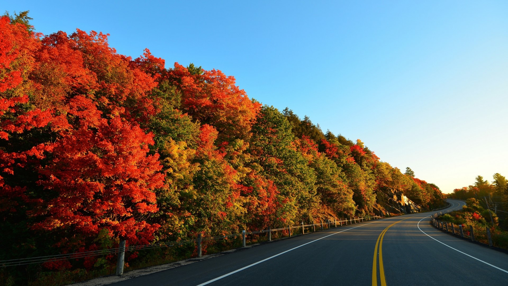 Winding road through autumn forest HD Wallpaper