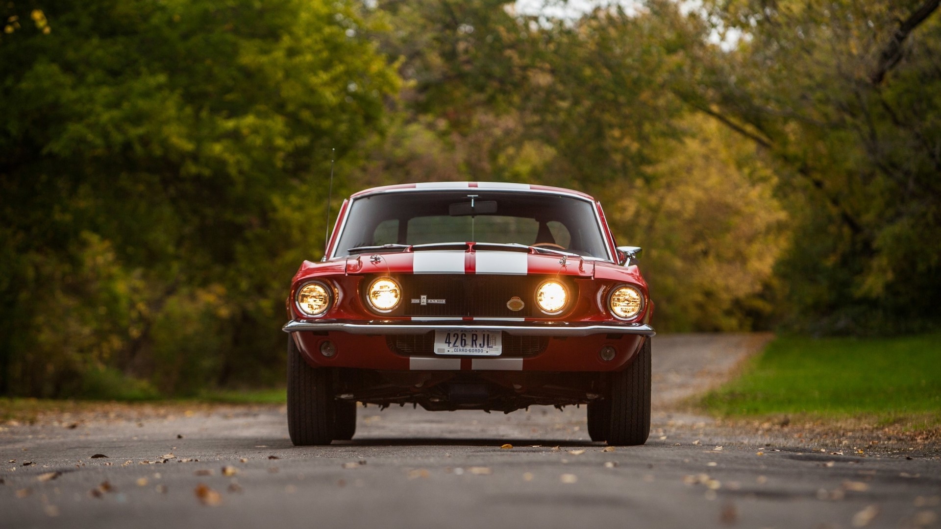 Red 1967 Shelby GT500 Mustang HD Wallpaper