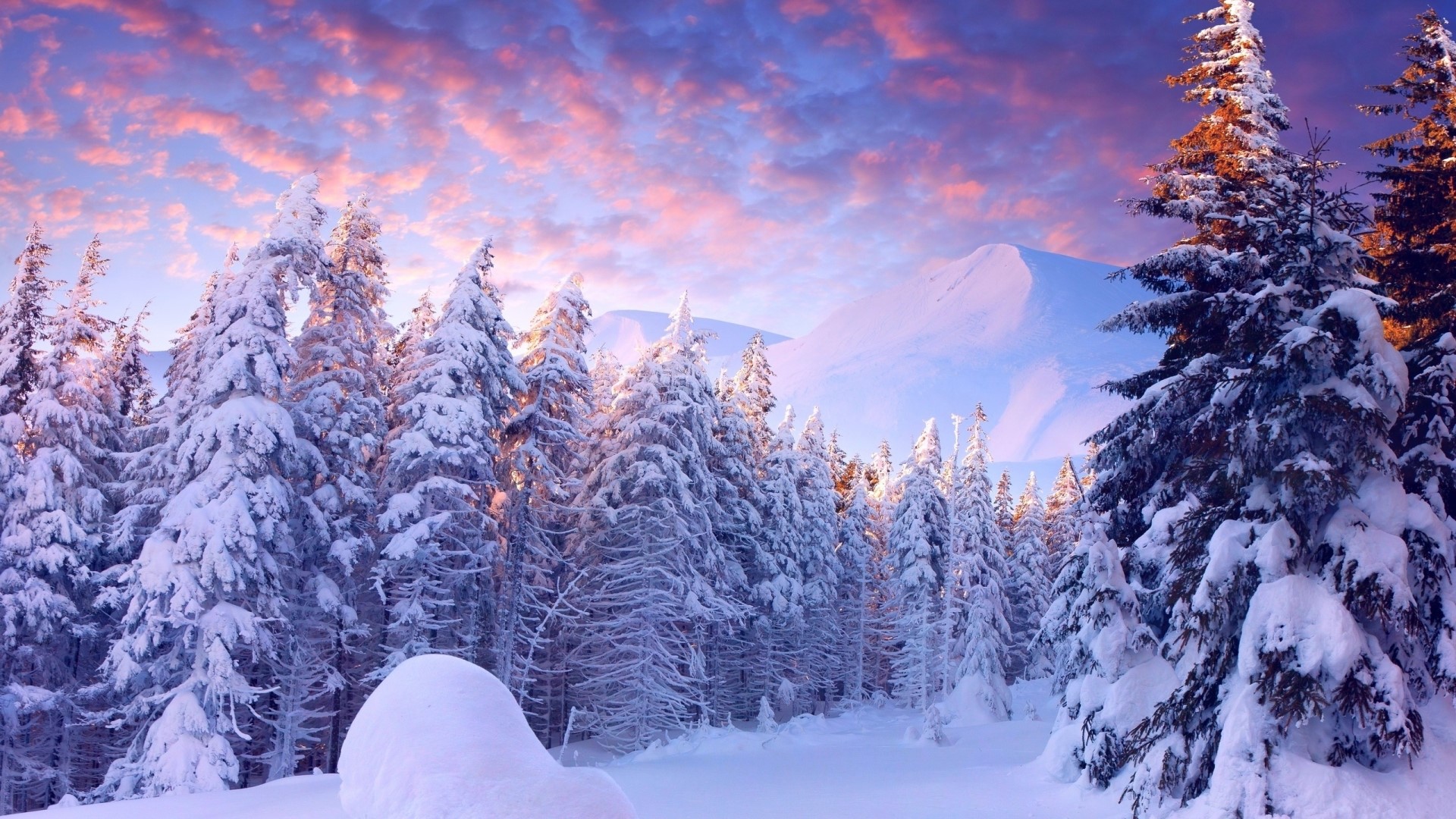 Snowy forest with mountains at sunset HD Wallpaper
