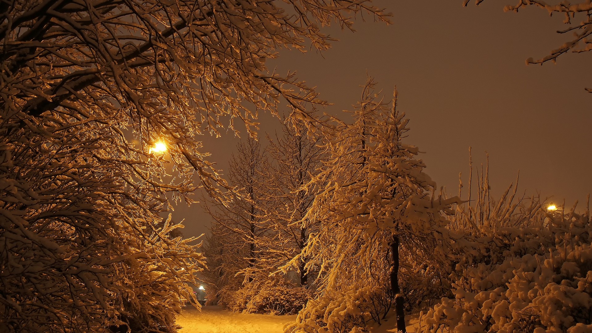 Park at night with snow and streetlights HD Wallpaper