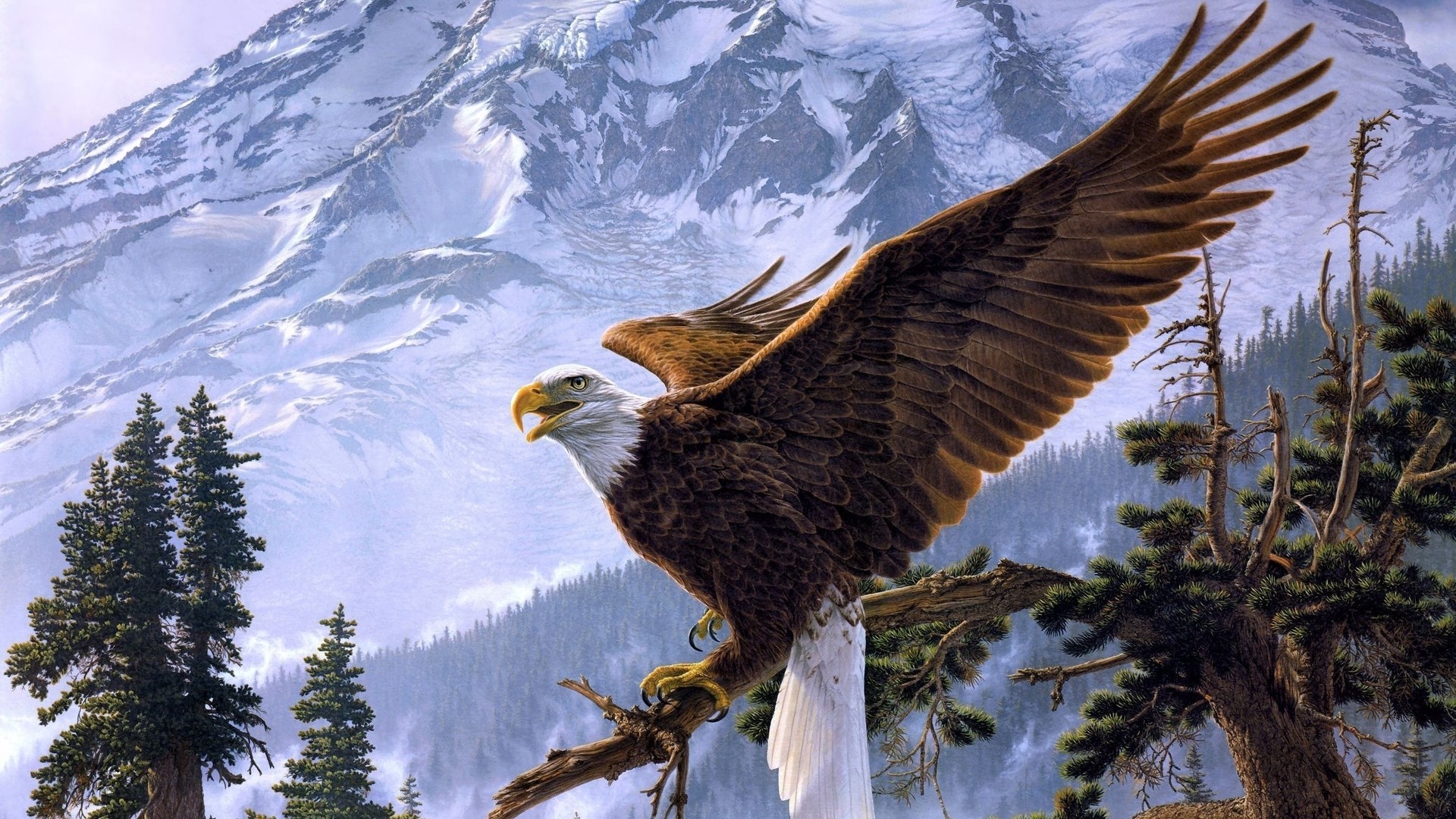 Bald Eagle Perched on a Branch with Snowy Mountains HD Wallpaper
