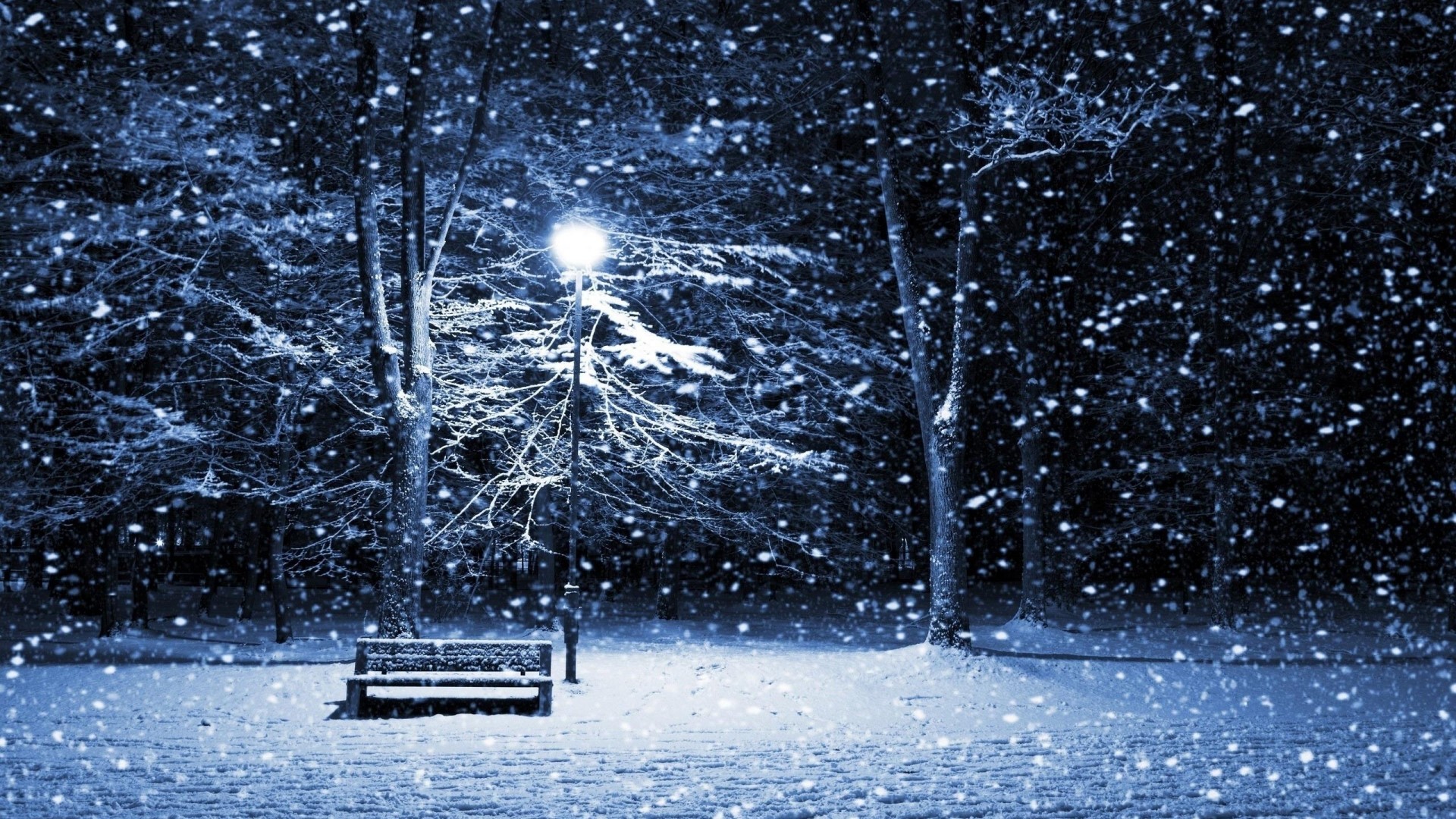 Park bench and lamppost in a snowy forest HD Wallpaper