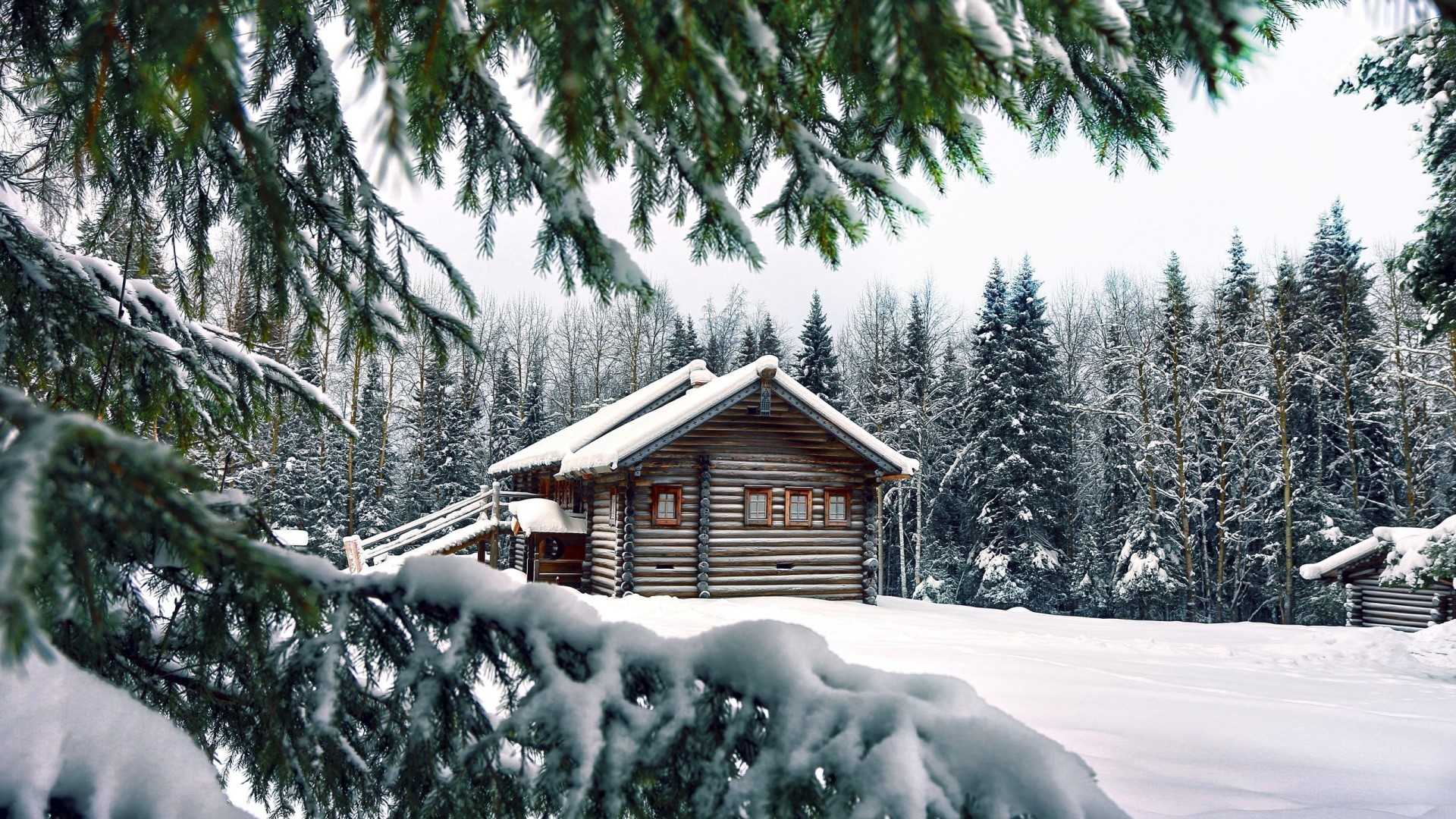 Wooden house in a snowy forest HD Wallpaper