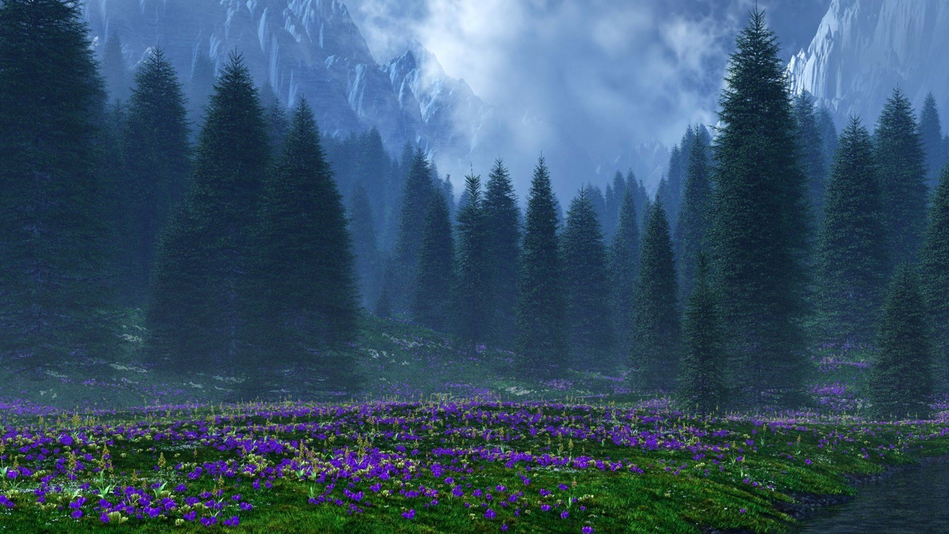 Misty Mountains and Purple Flowers HD Wallpaper