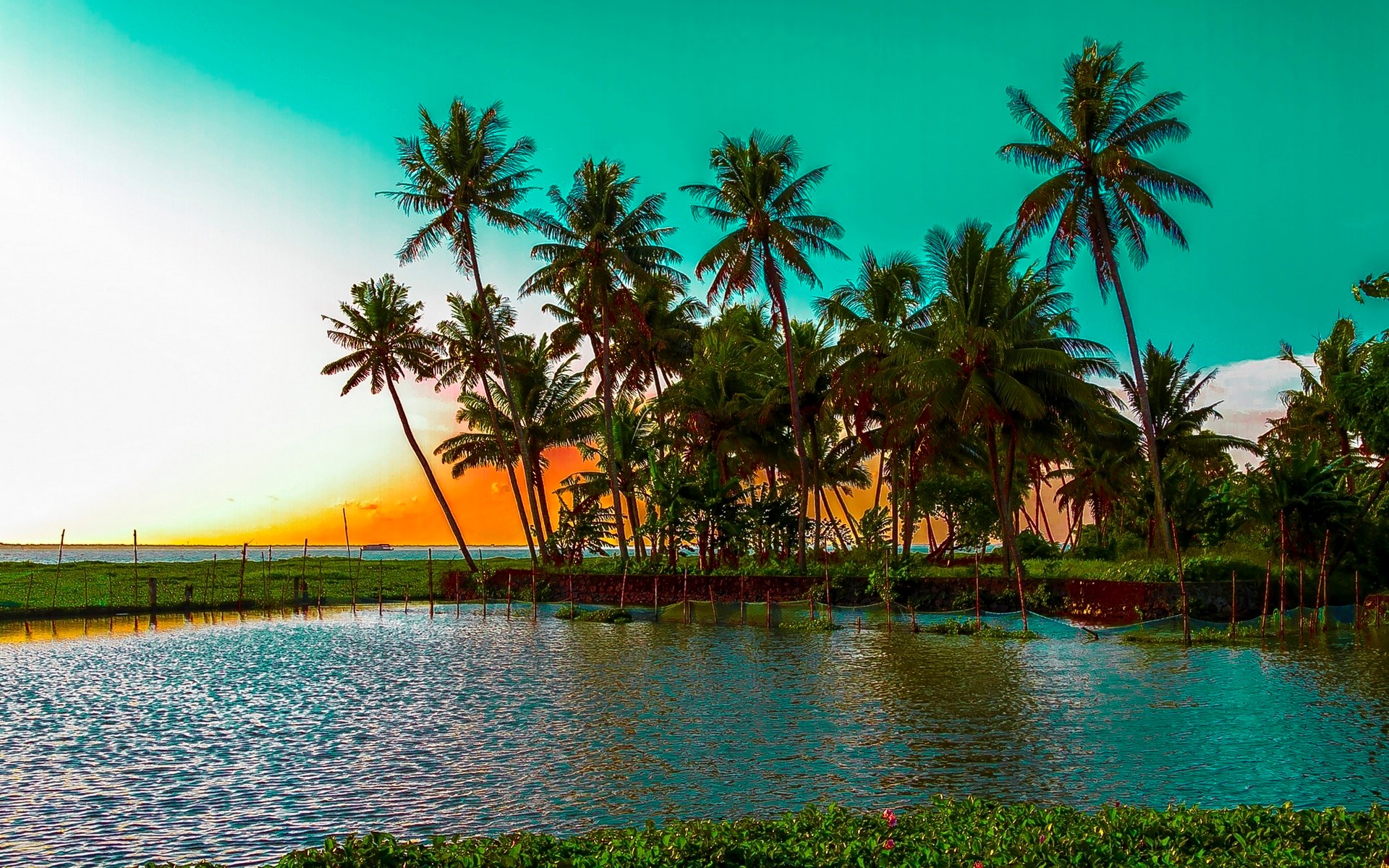 Palm trees on a tropical island at sunset HD Wallpaper
