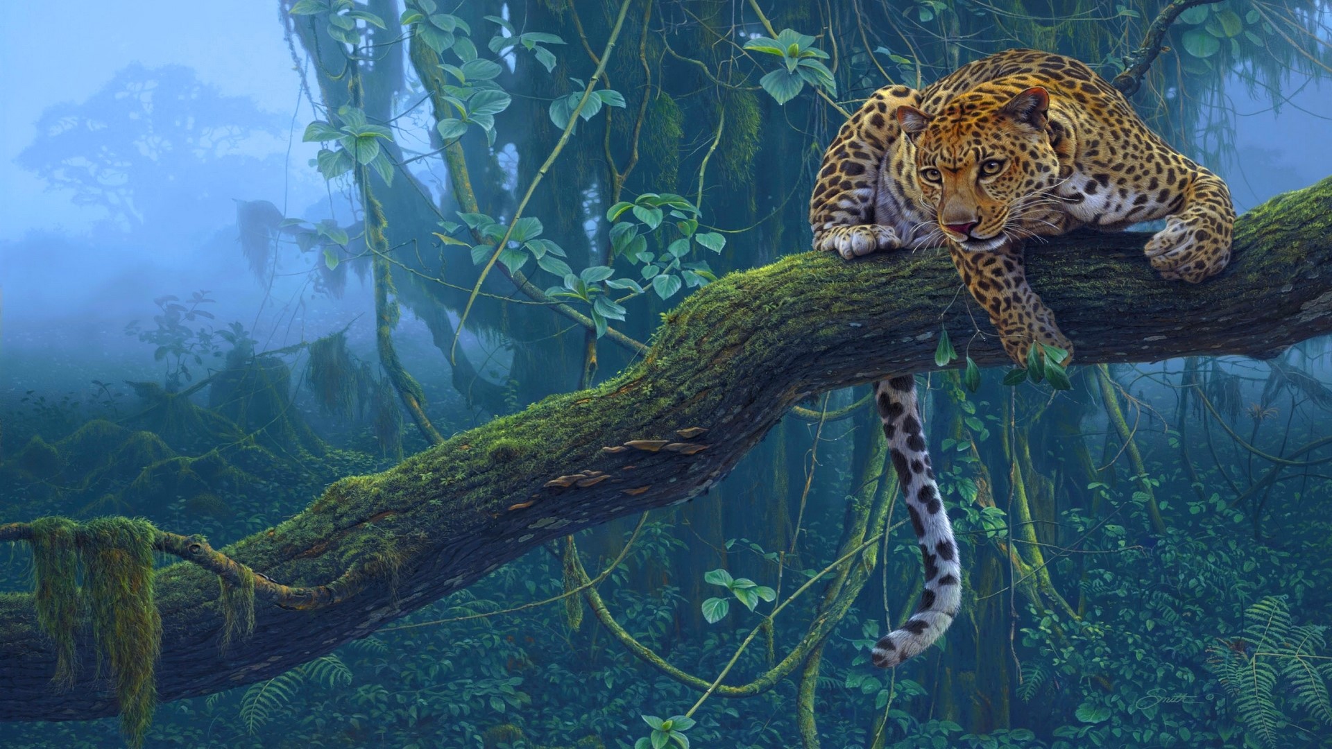 Leopard resting on a mossy tree branch in a misty jungle HD Wallpaper