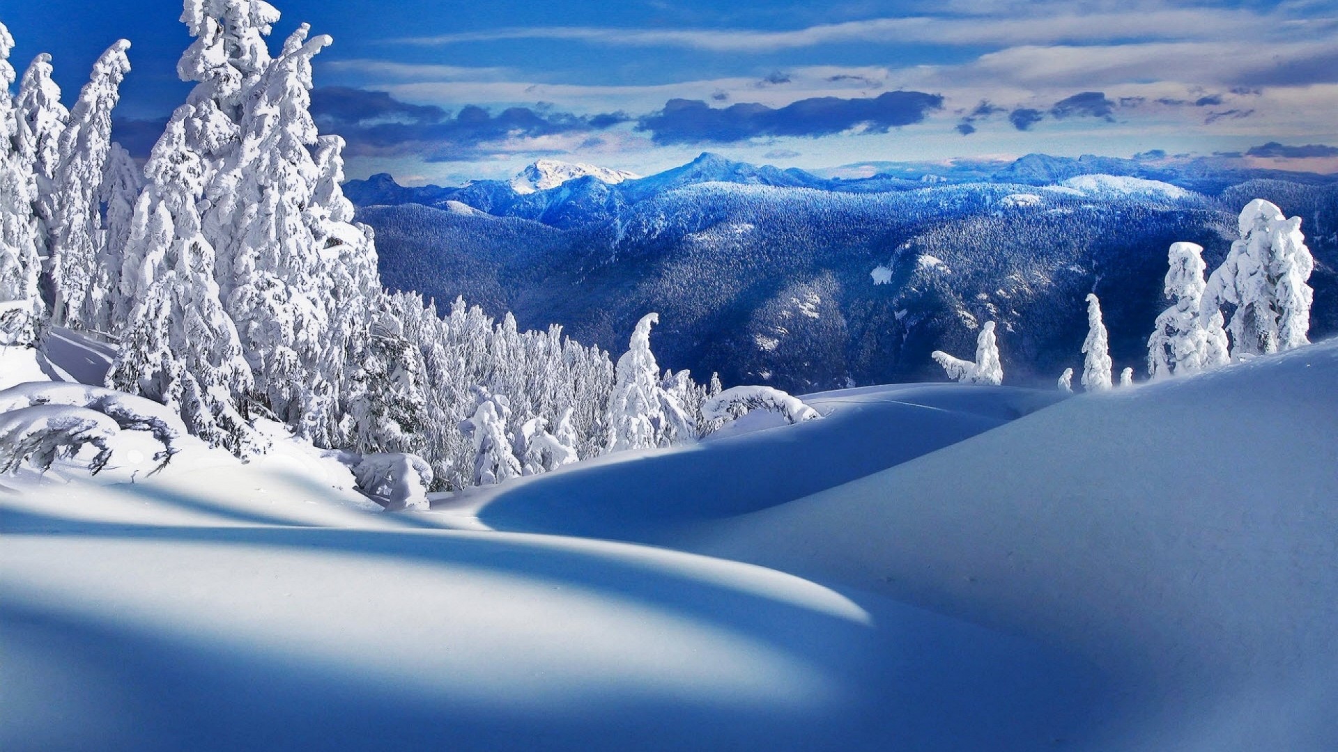 Snowy mountains and trees under a blue sky HD Wallpaper