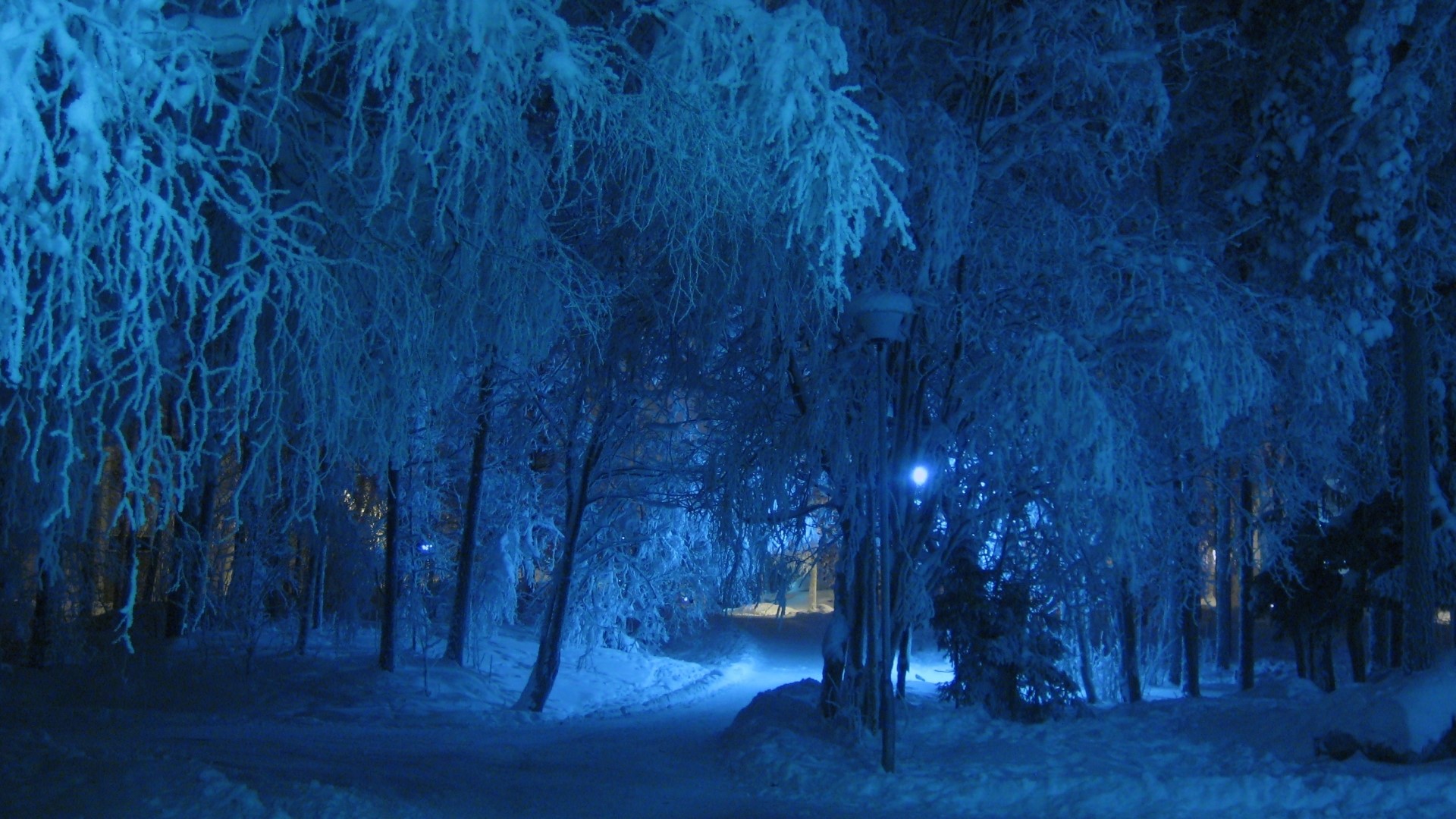Snowy park at night with blue lighting HD Wallpaper