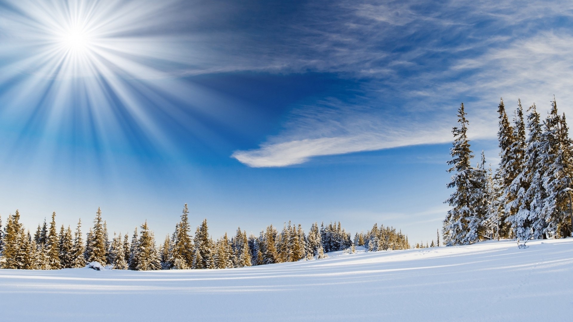 Winter landscape with sun and snow-covered trees HD Wallpaper