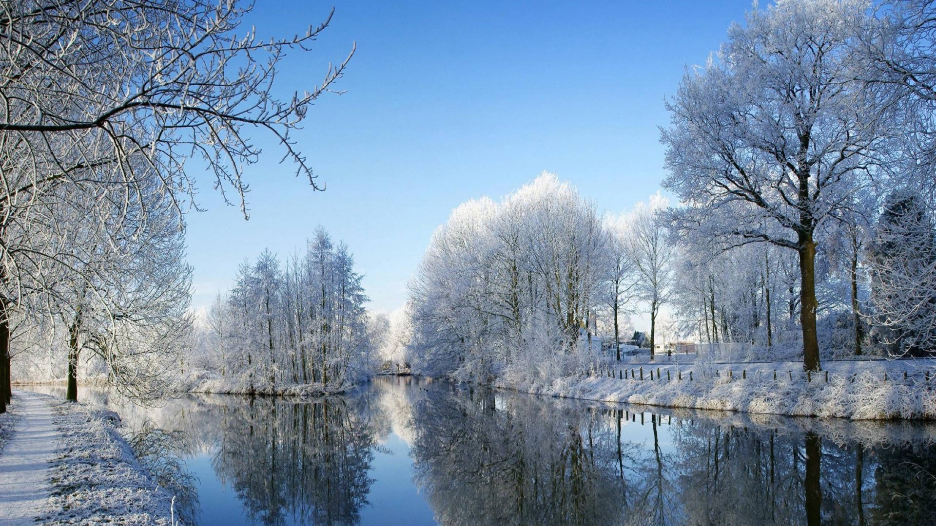 Winter landscape with frosted trees and river HD Wallpaper