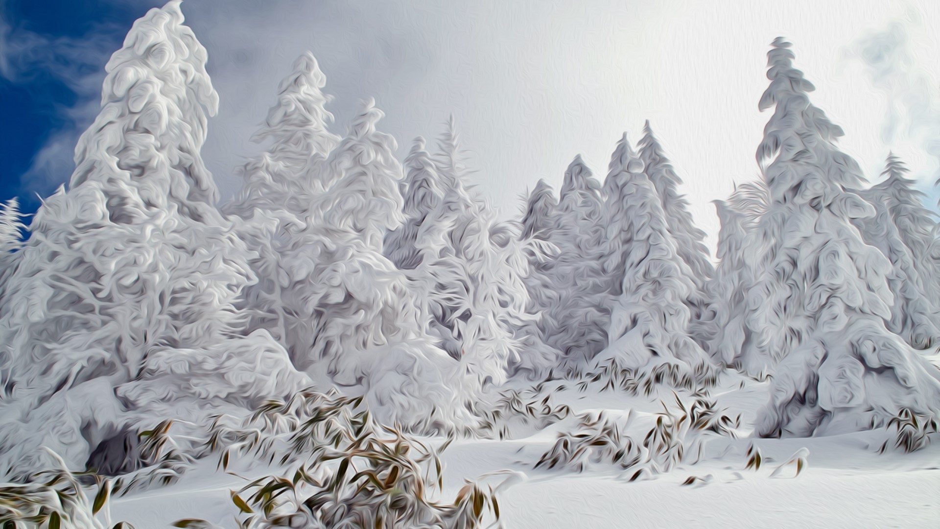 Snow-covered trees in a winter landscape HD Wallpaper
