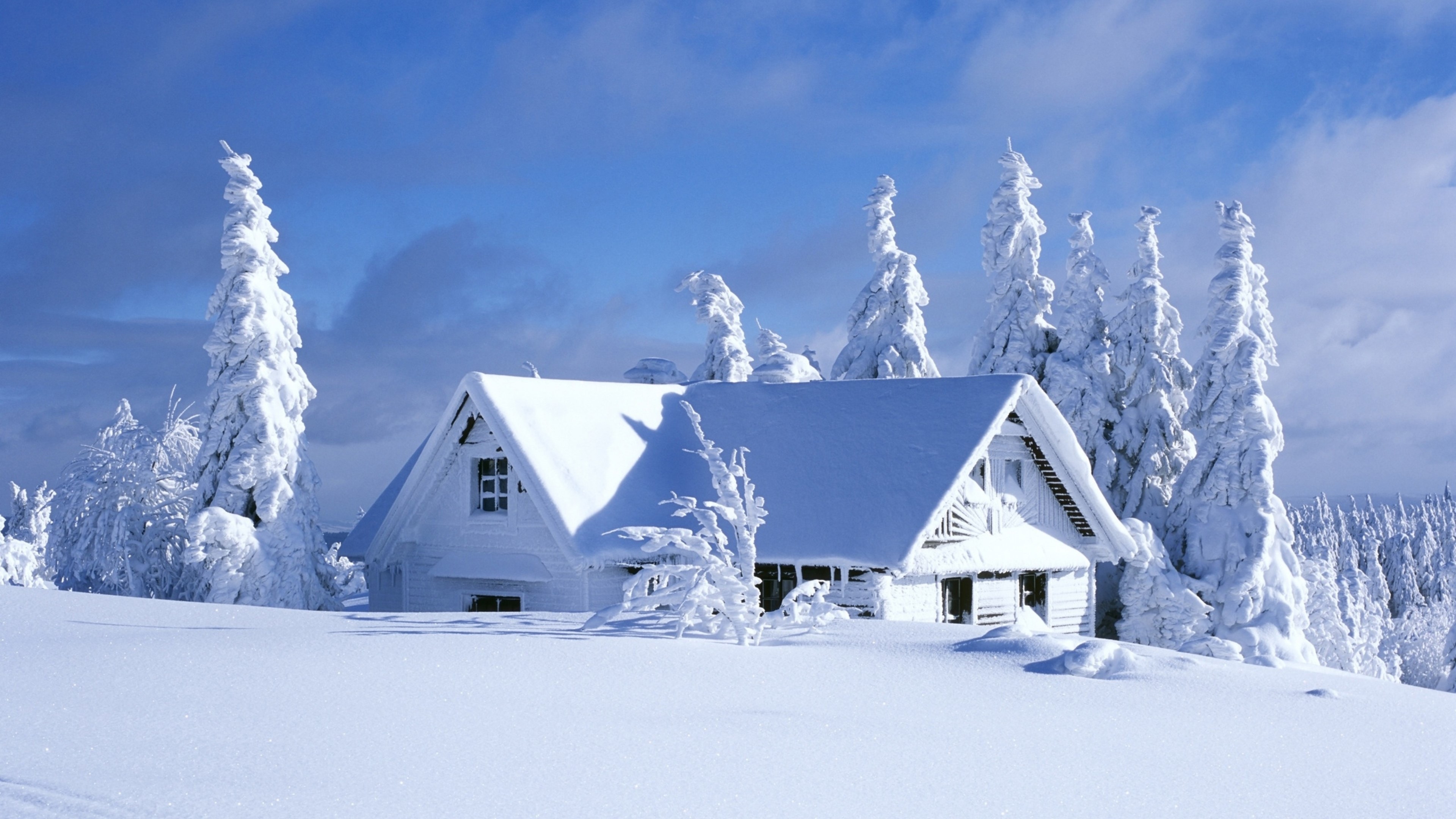 4K Snow covered house and trees in winter HD Wallpaper