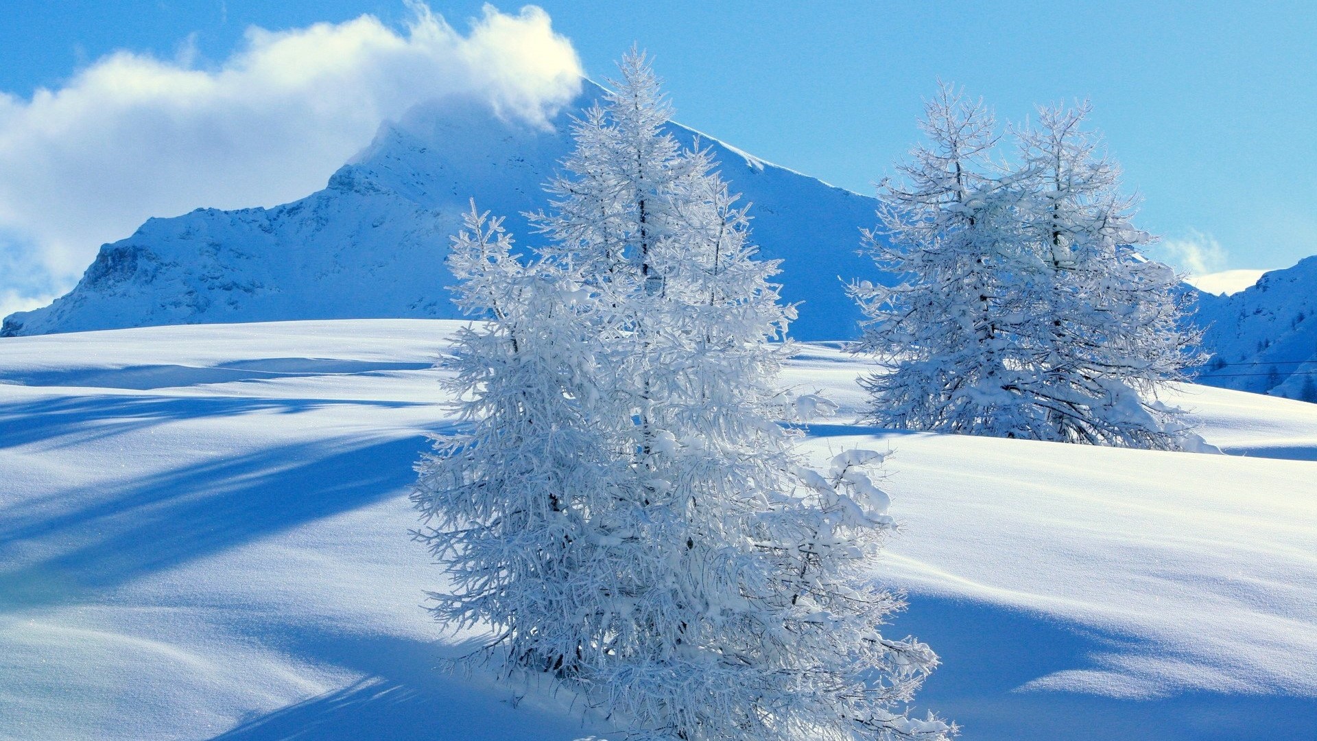 Snowy mountains and trees under a blue sky HD Wallpaper