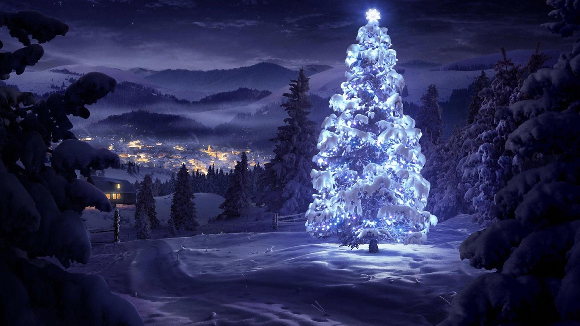 Christmas tree in a snowy village at night HD Wallpaper
