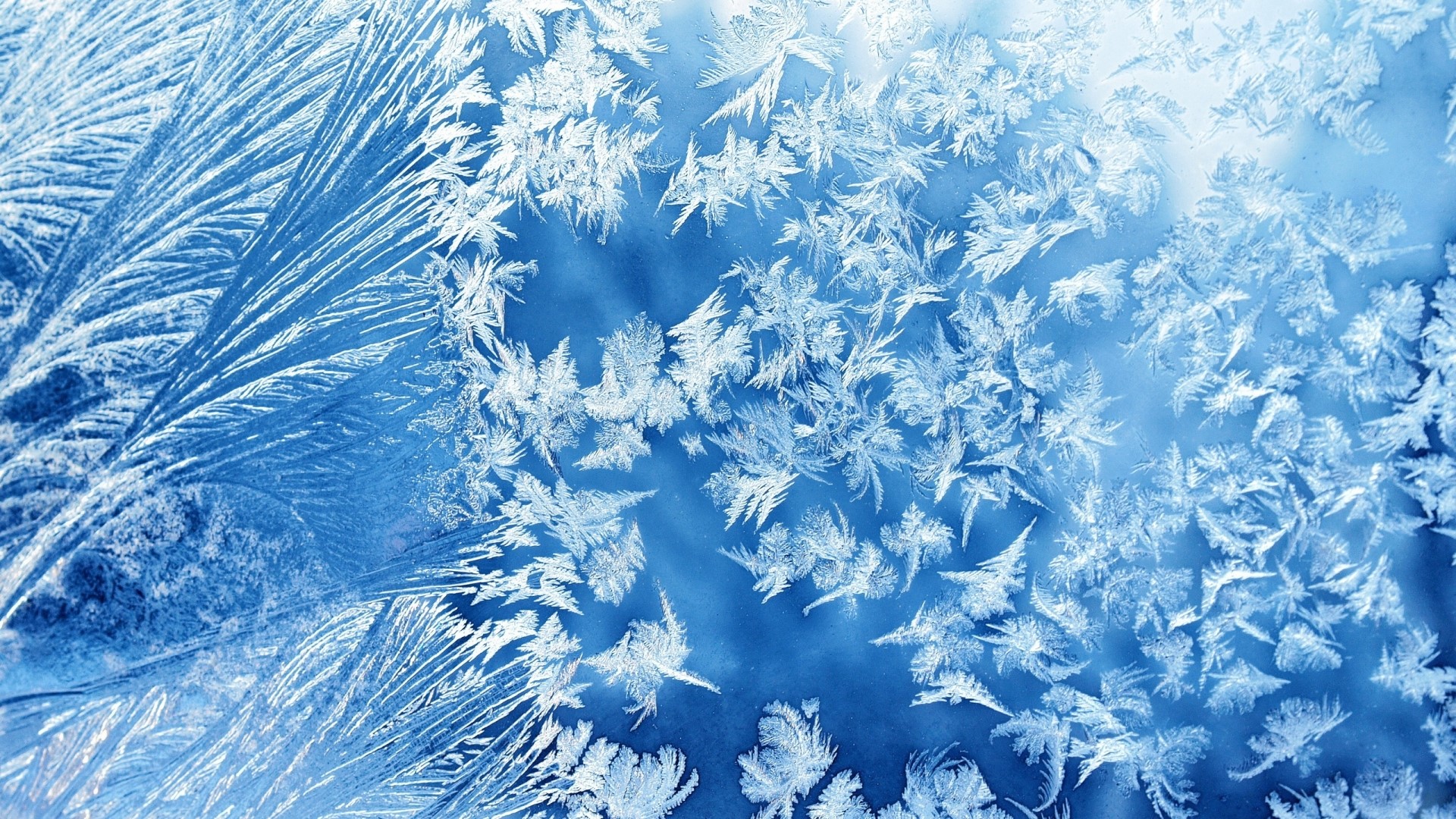 Frost patterns on glass HD Wallpaper