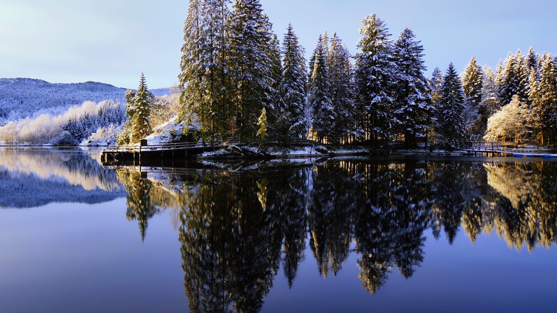 Winter lake with snow-covered trees and reflection HD Wallpaper