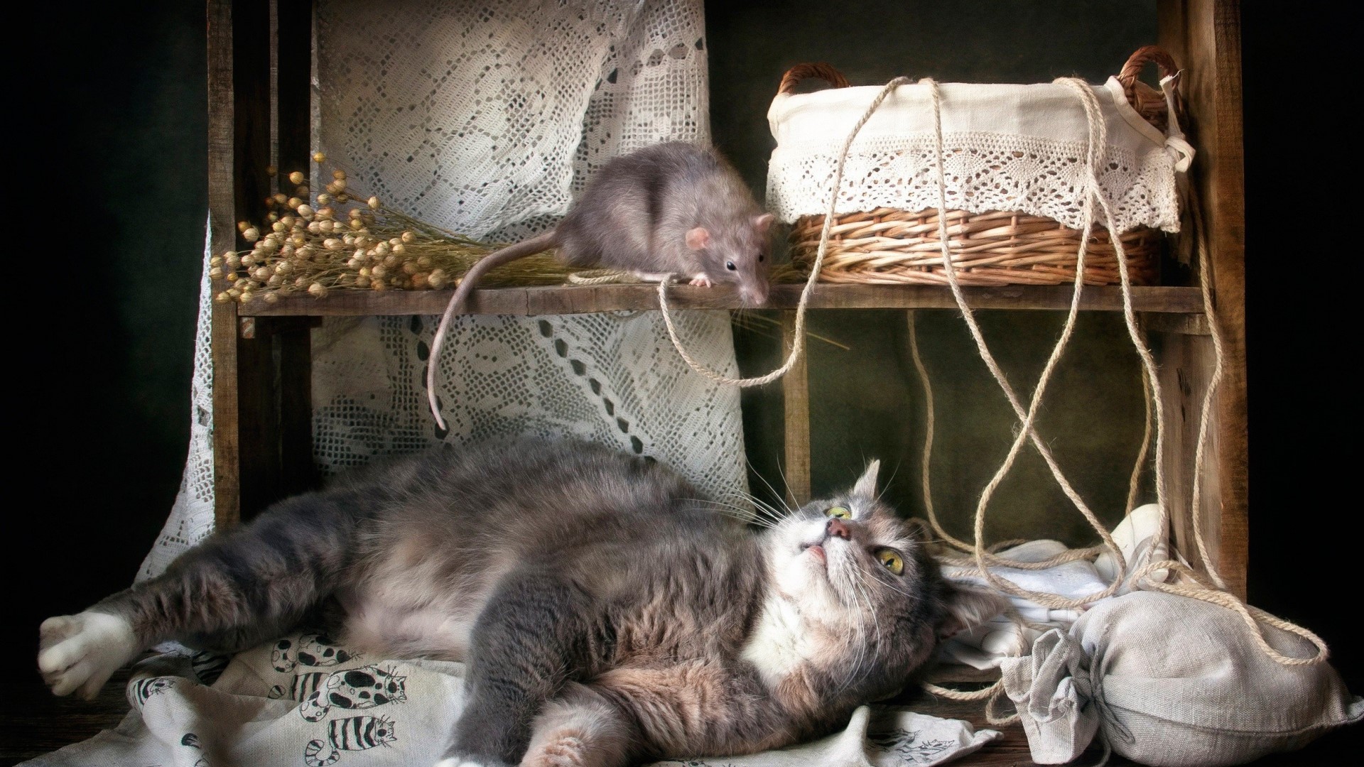 Cat and rat on a shelf with a basket HD Wallpaper
