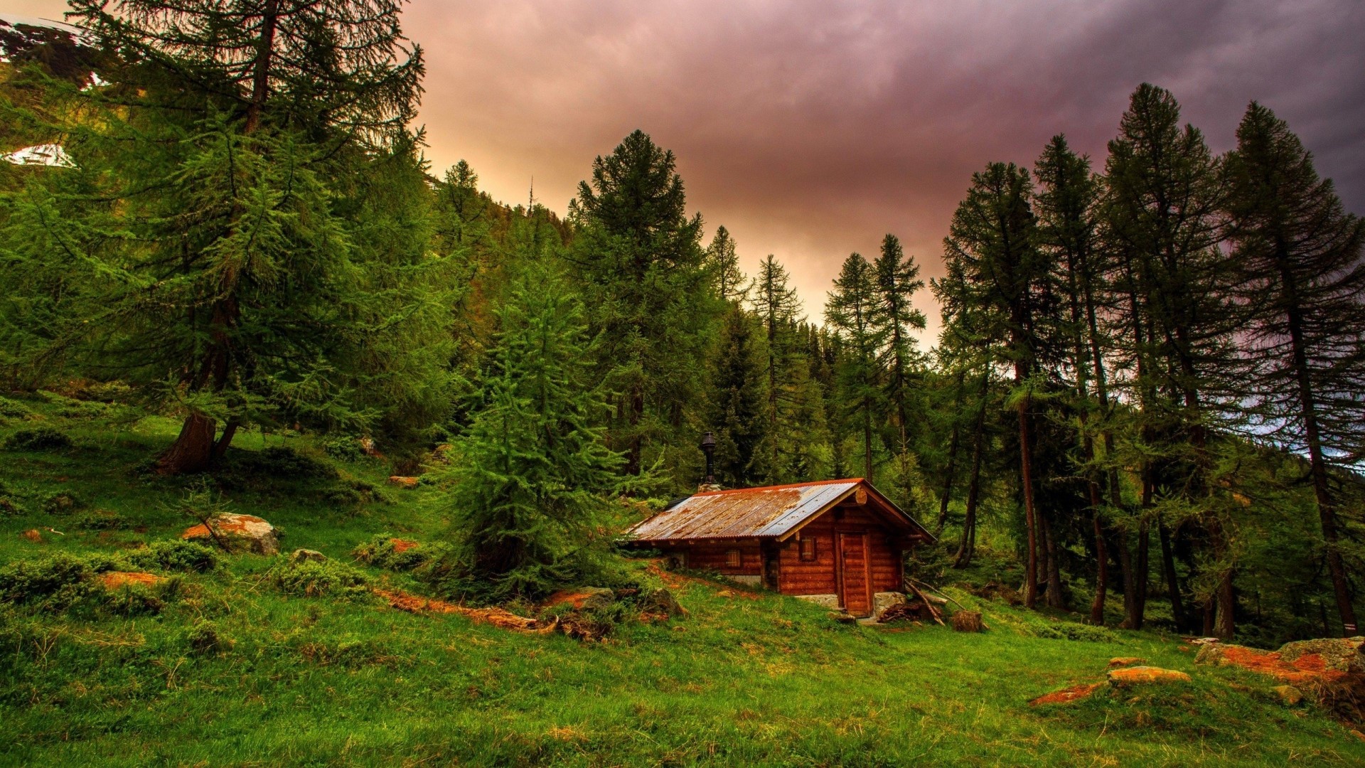 Wooden cabin in a green mountain forest HD Wallpaper