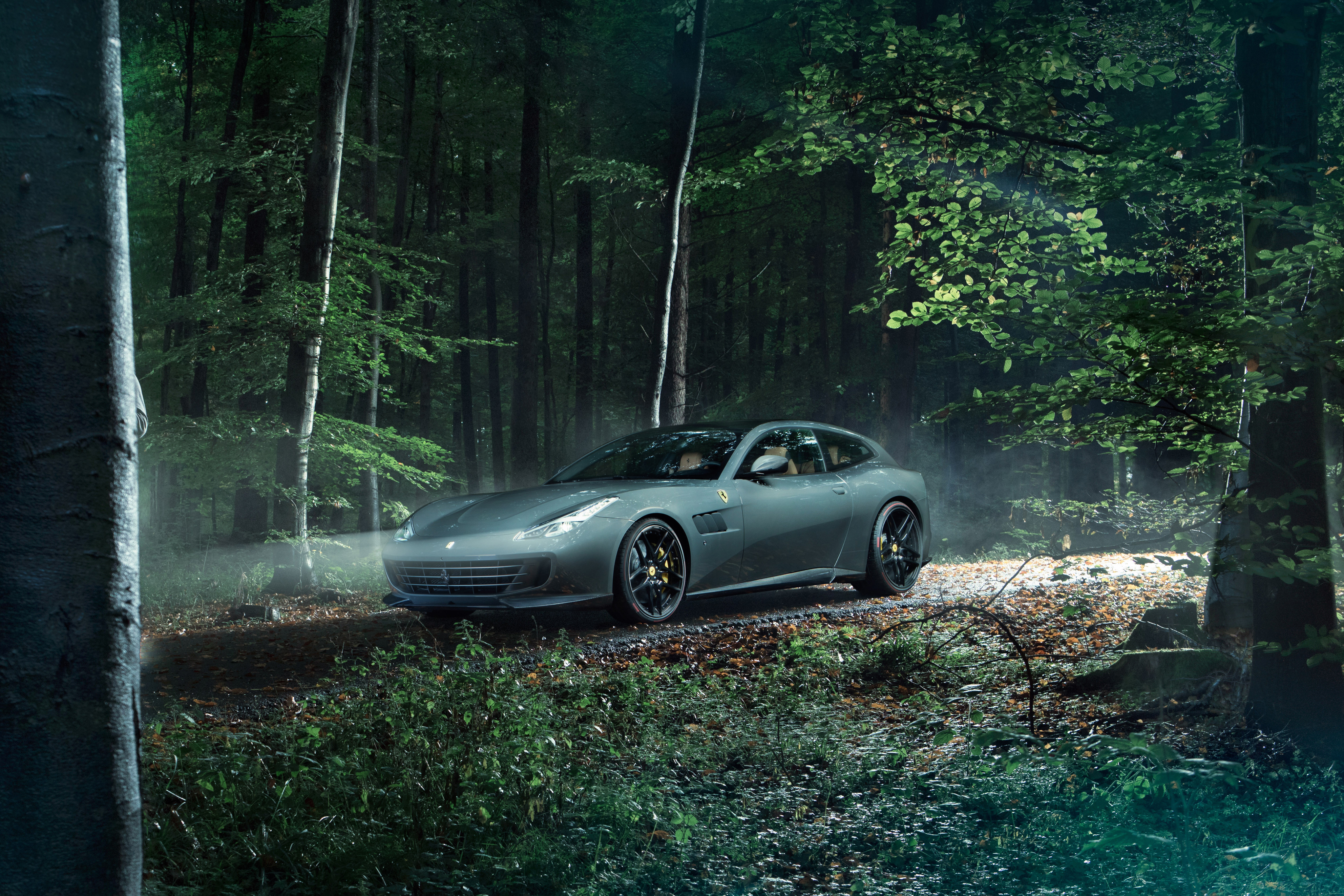 Novitec Rosso Ferrari GTC4Lusso in forest 4K HD Wallpaper