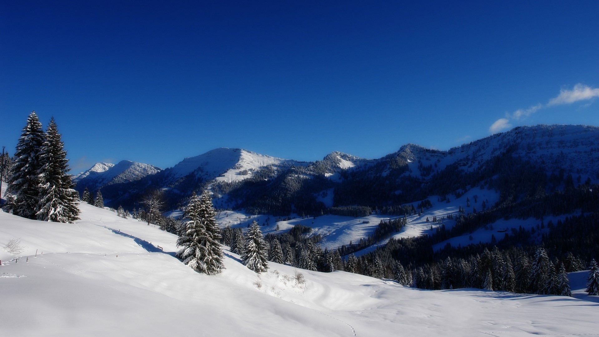 Snowy Mountains and Pine Trees Under Blue Sky HD Wallpaper