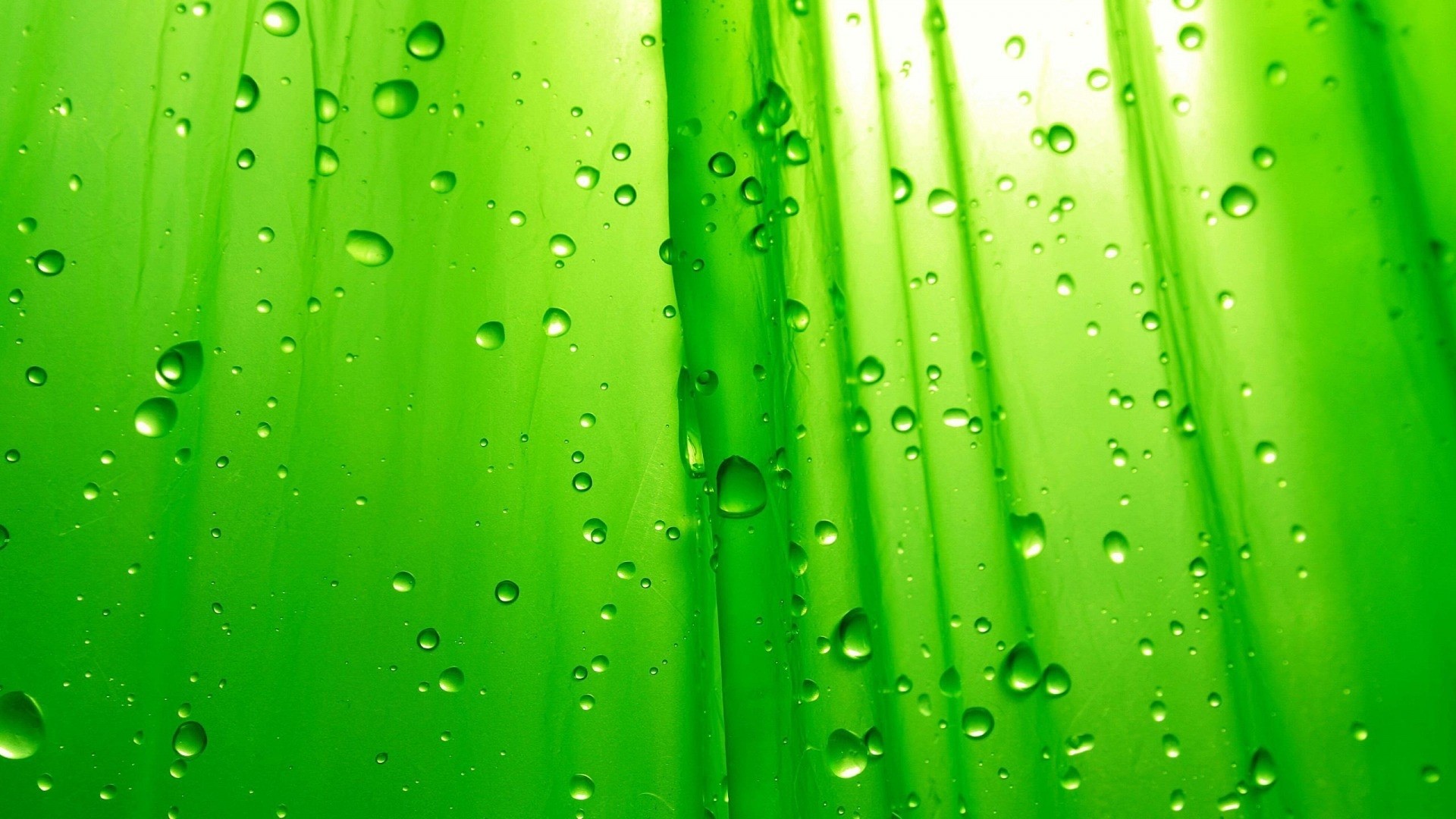 Green surface with water droplets HD Wallpaper