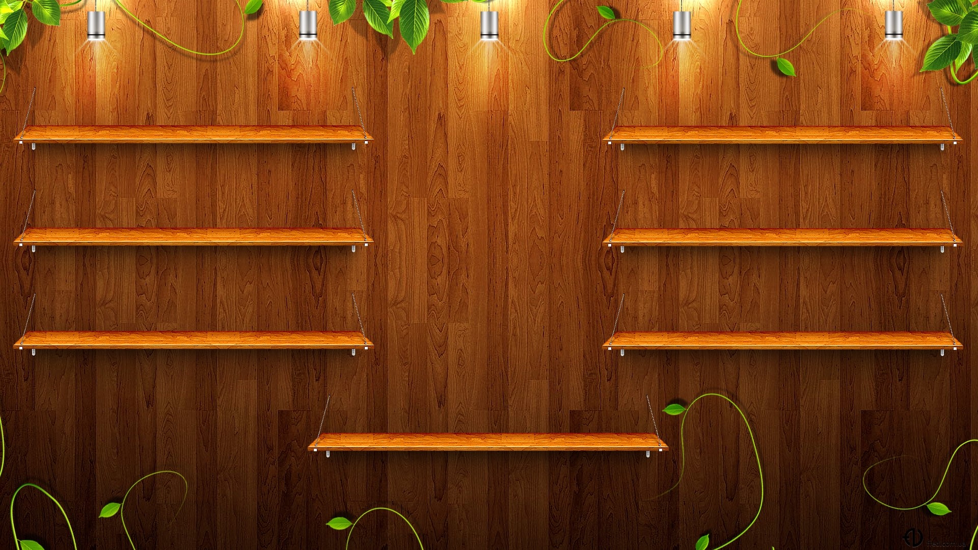 Wooden shelves with hanging plants and lights HD Wallpaper