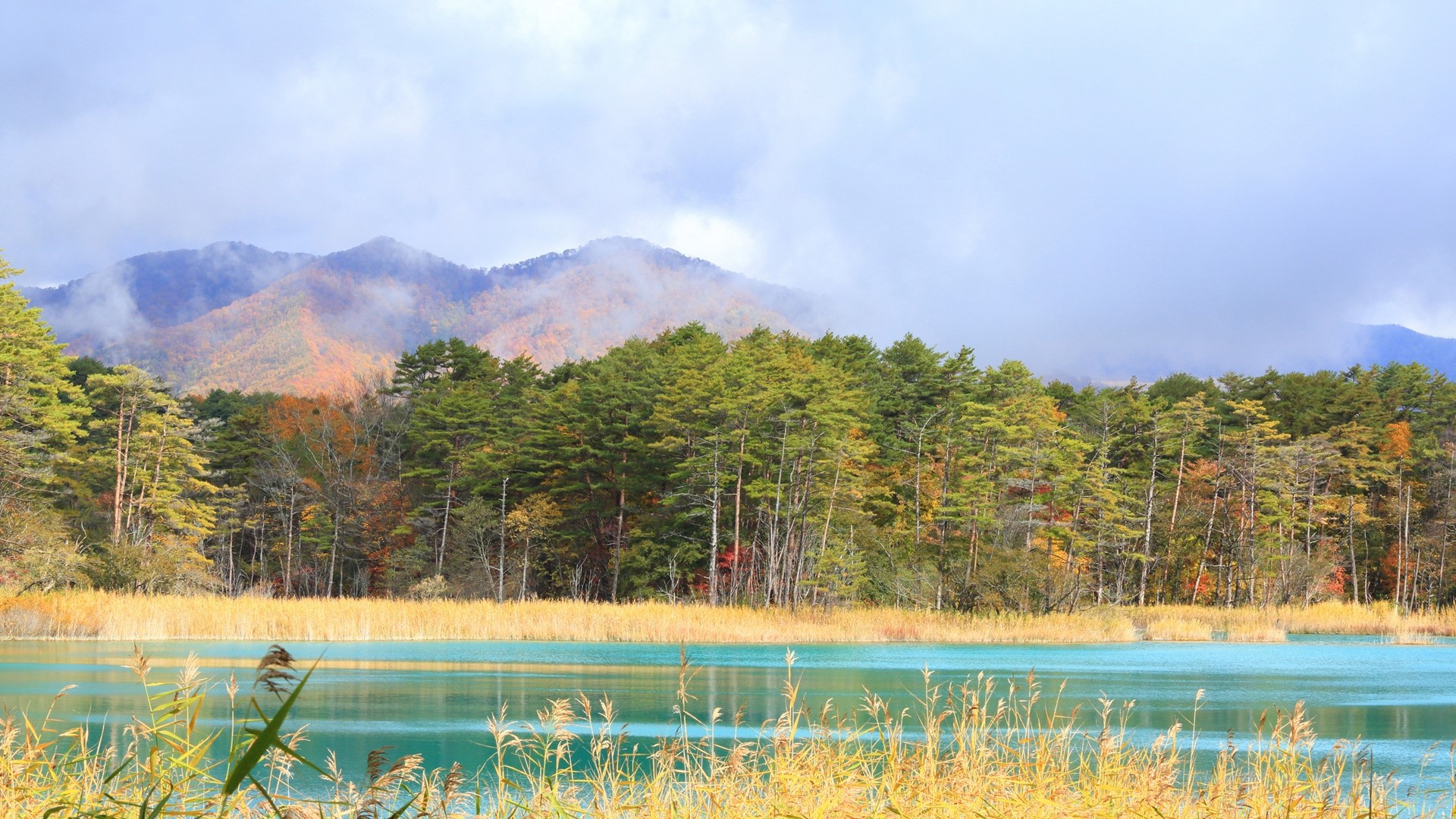 Autumn forest and lake with cloudy mountains HD Wallpaper