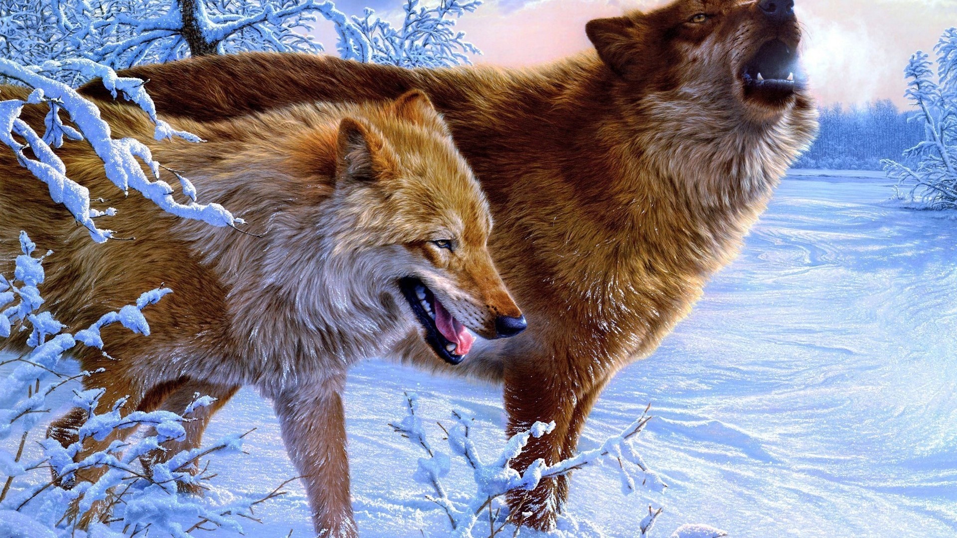 Two wolves howling in a snowy forest HD Wallpaper