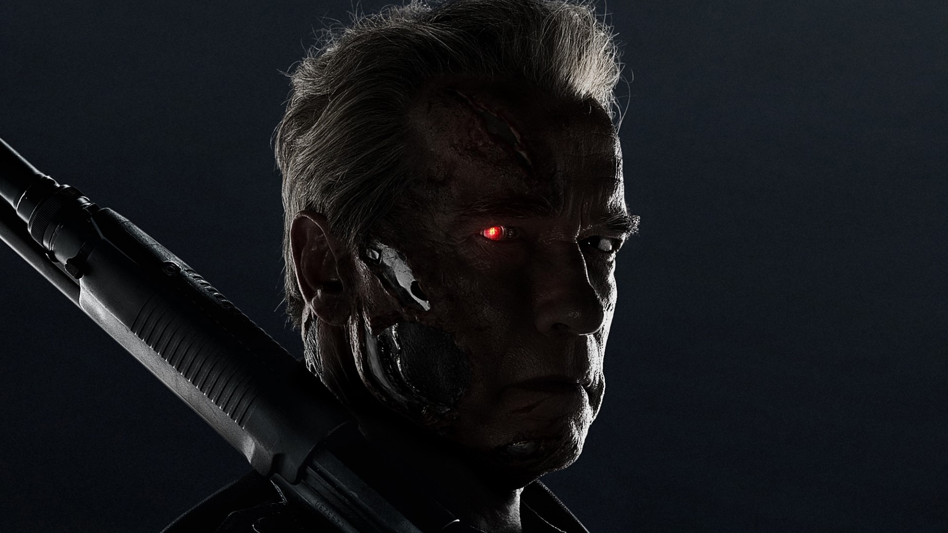 Arnold Schwarzenegger as The Terminator HD Wallpaper