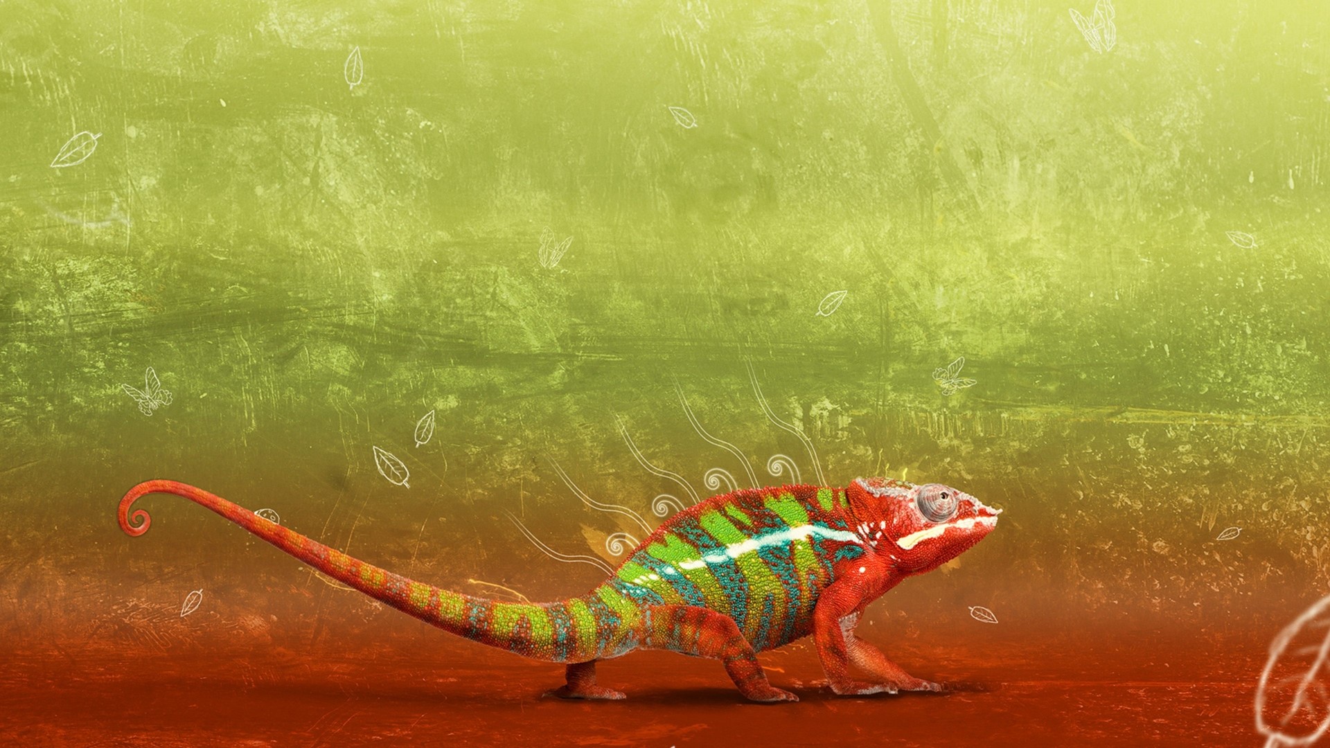 Chameleon on a textured background HD Wallpaper