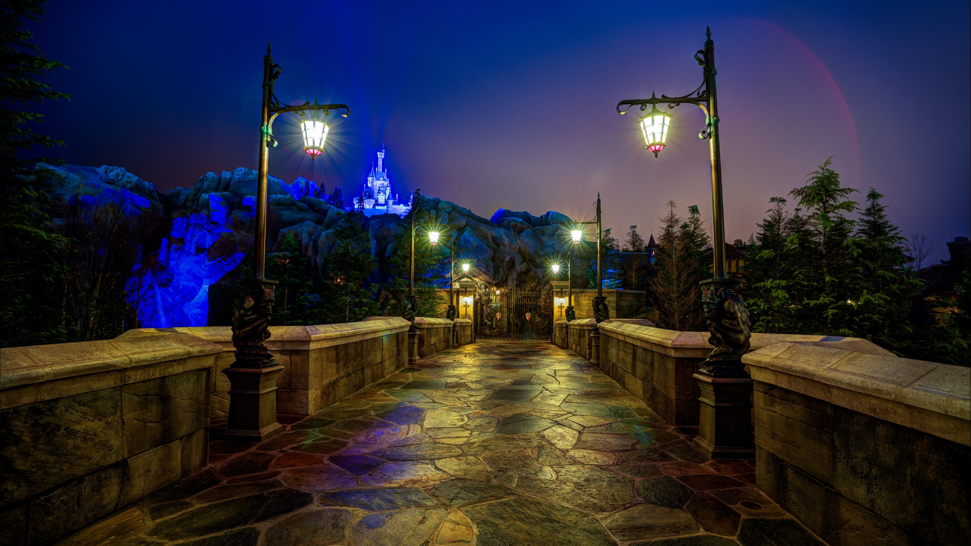 4K Disneyland Castle Bridge at Night HD Wallpaper