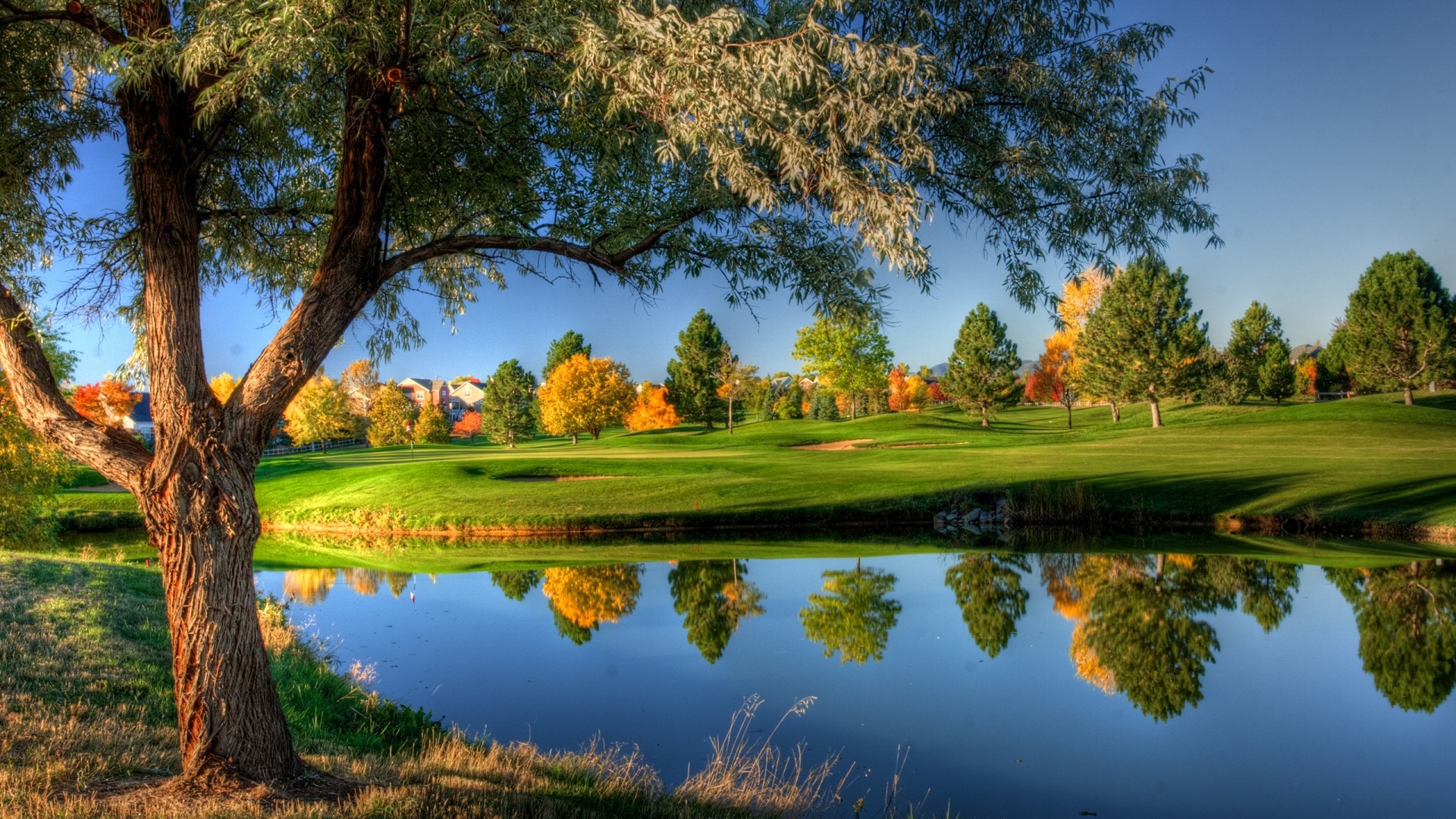 Golf Course Lake with Fall Foliage HD Wallpaper