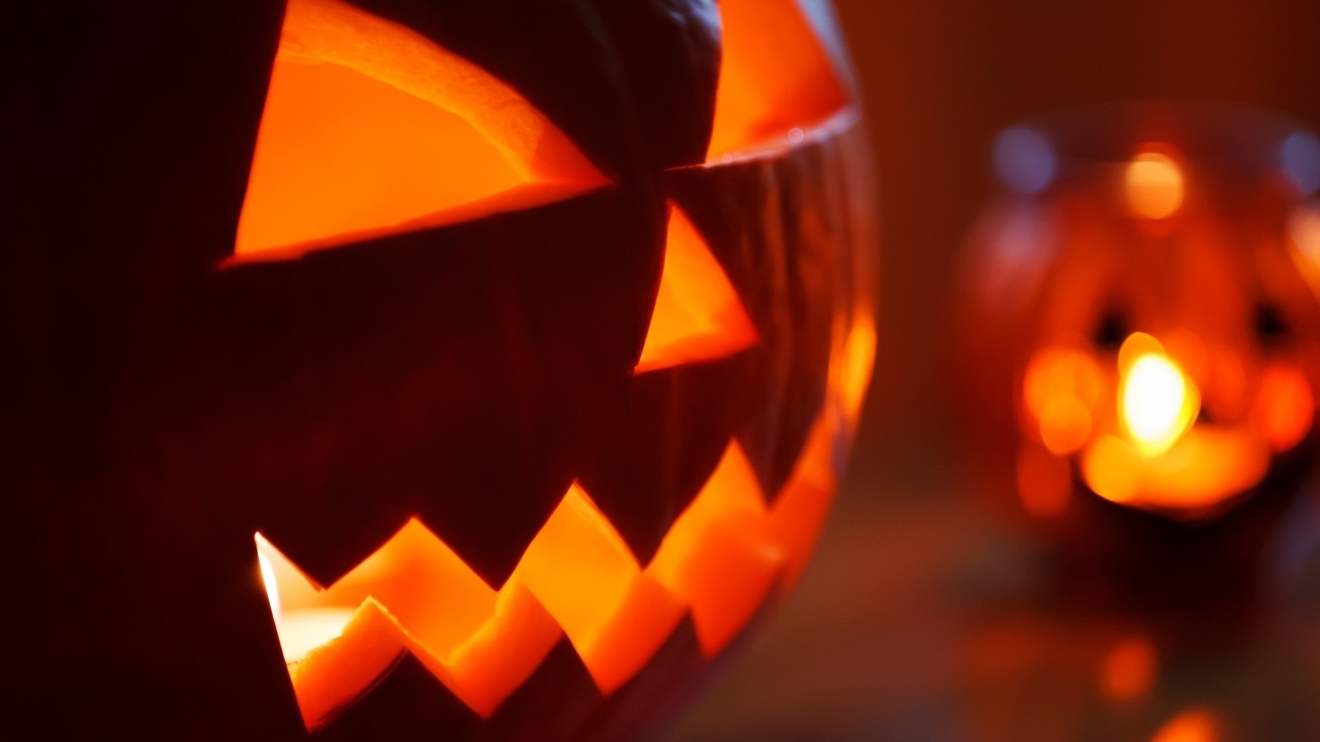 Close-up of a lit Jack-o'-lantern with a blurred background HD Wallpaper