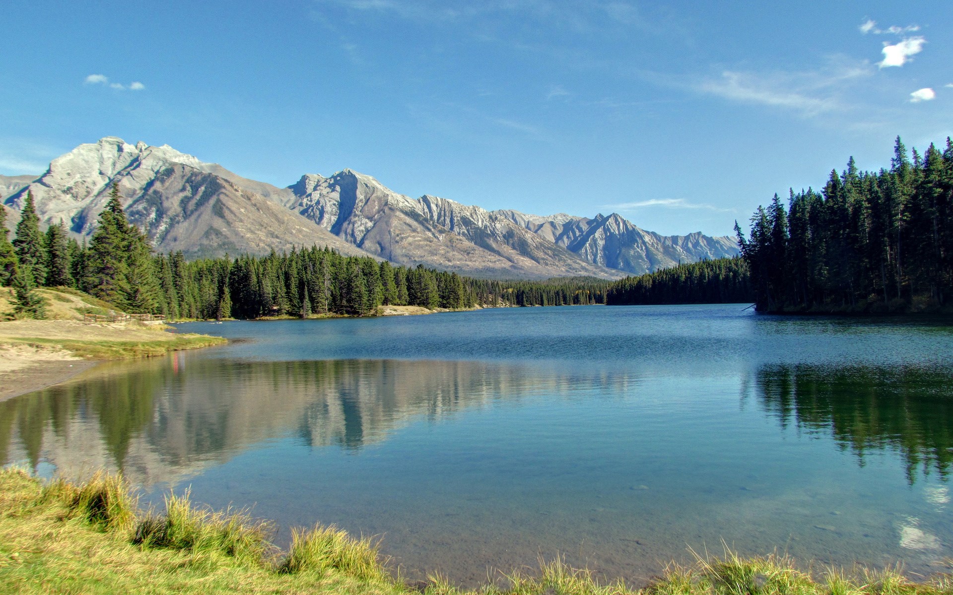 Lake and mountains with pine forest HD Wallpaper