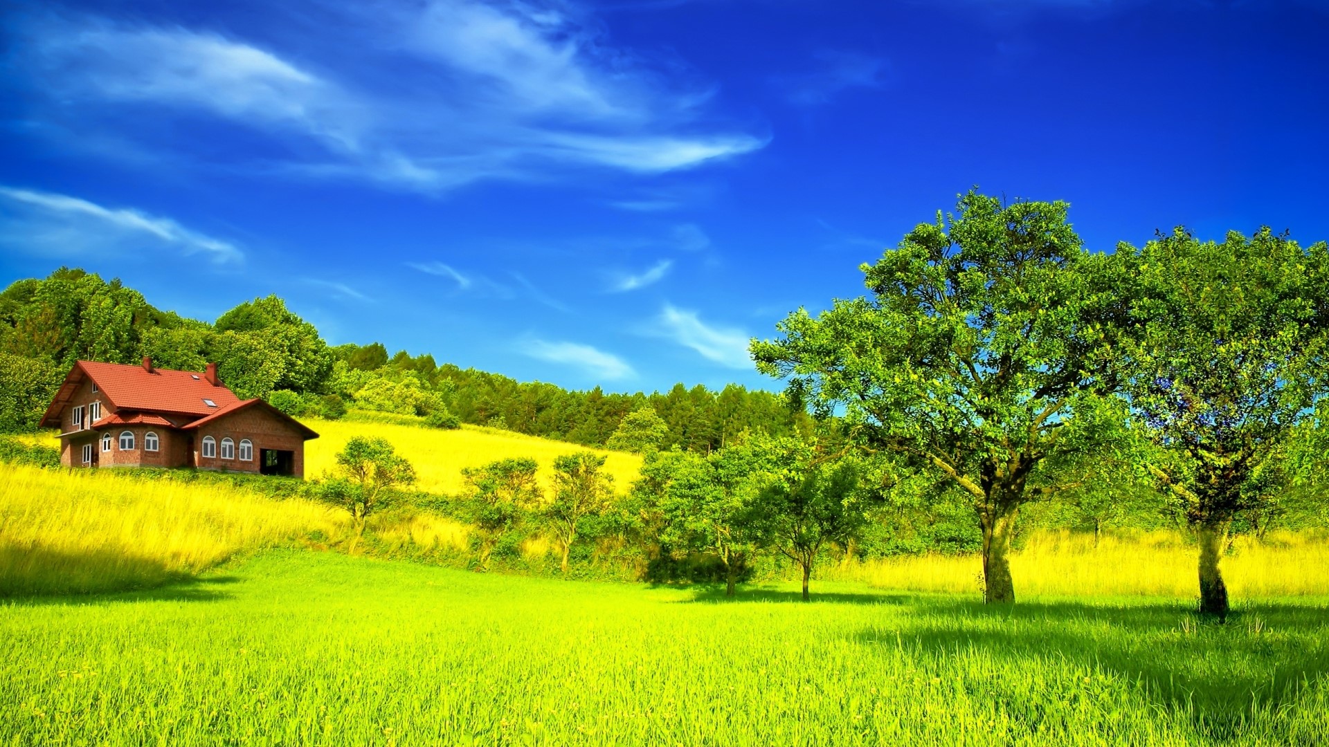 Summer landscape with a house and trees HD Wallpaper
