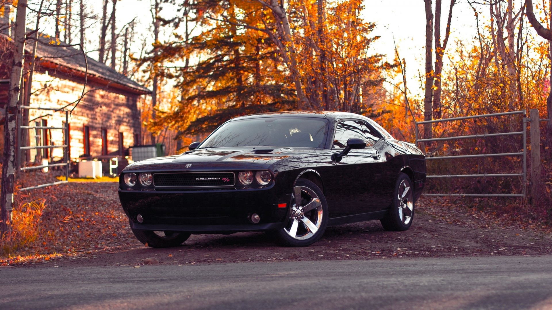 Black Dodge Challenger parked near a wooden house in autumn HD Wallpaper