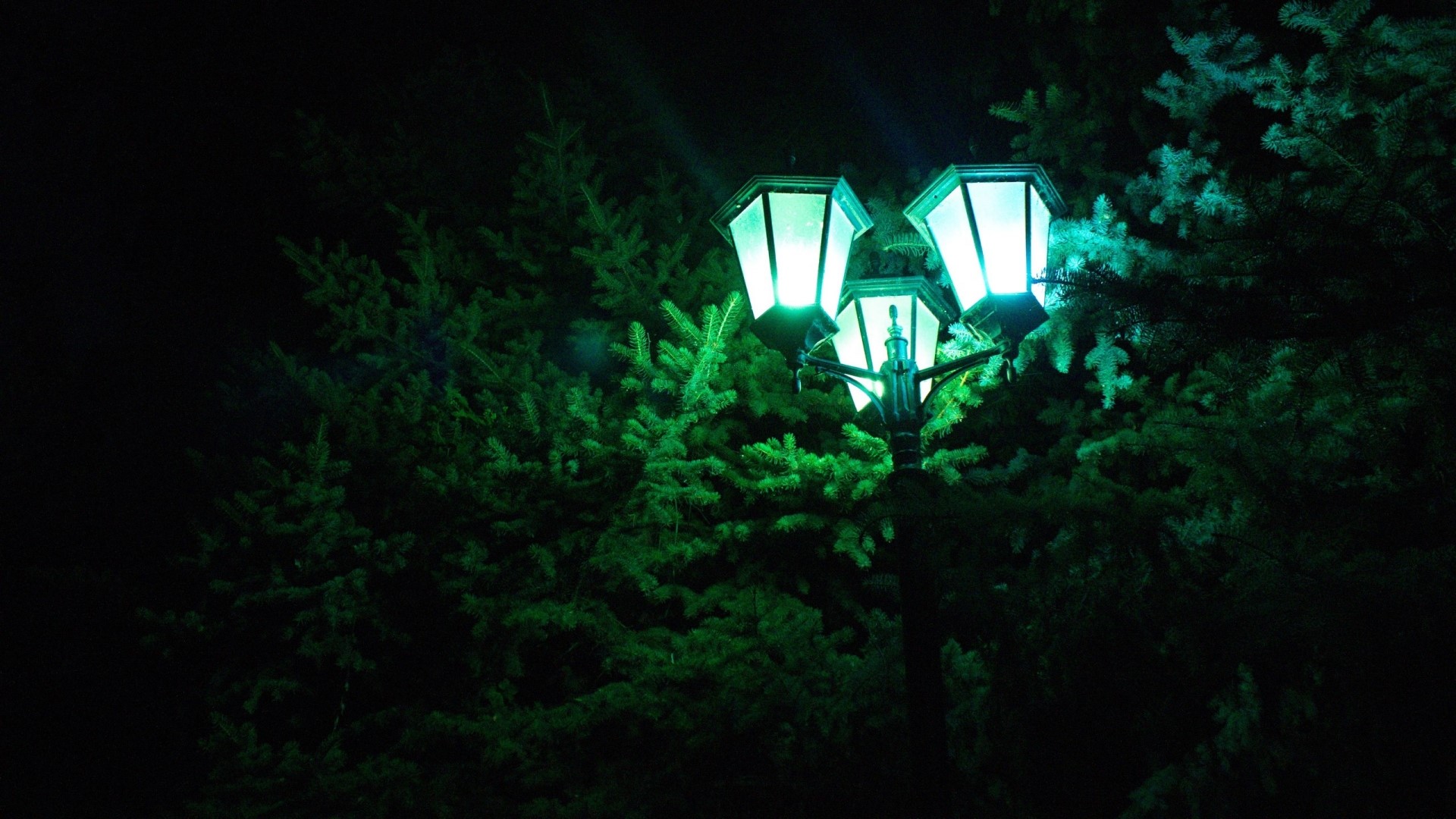 Street lamp with green lights among pine trees HD Wallpaper