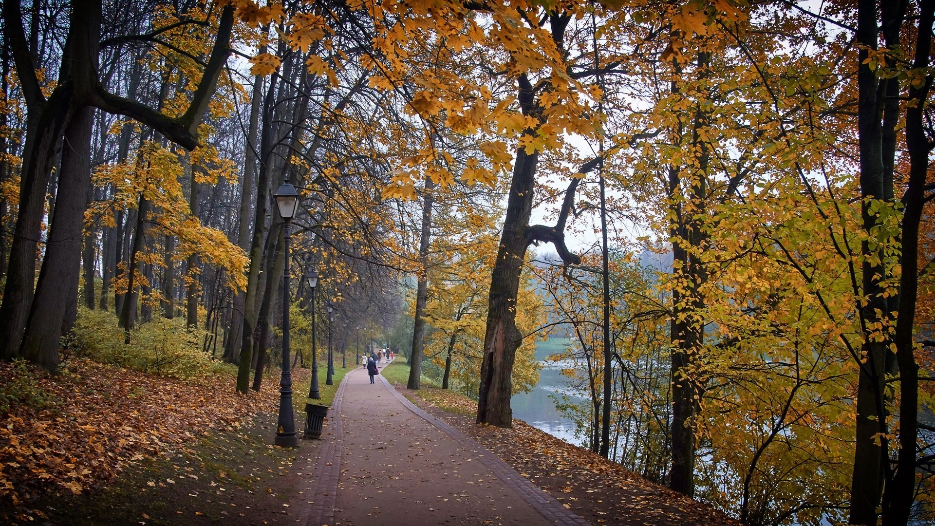 Autumn park path with colorful trees and a lake HD Wallpaper