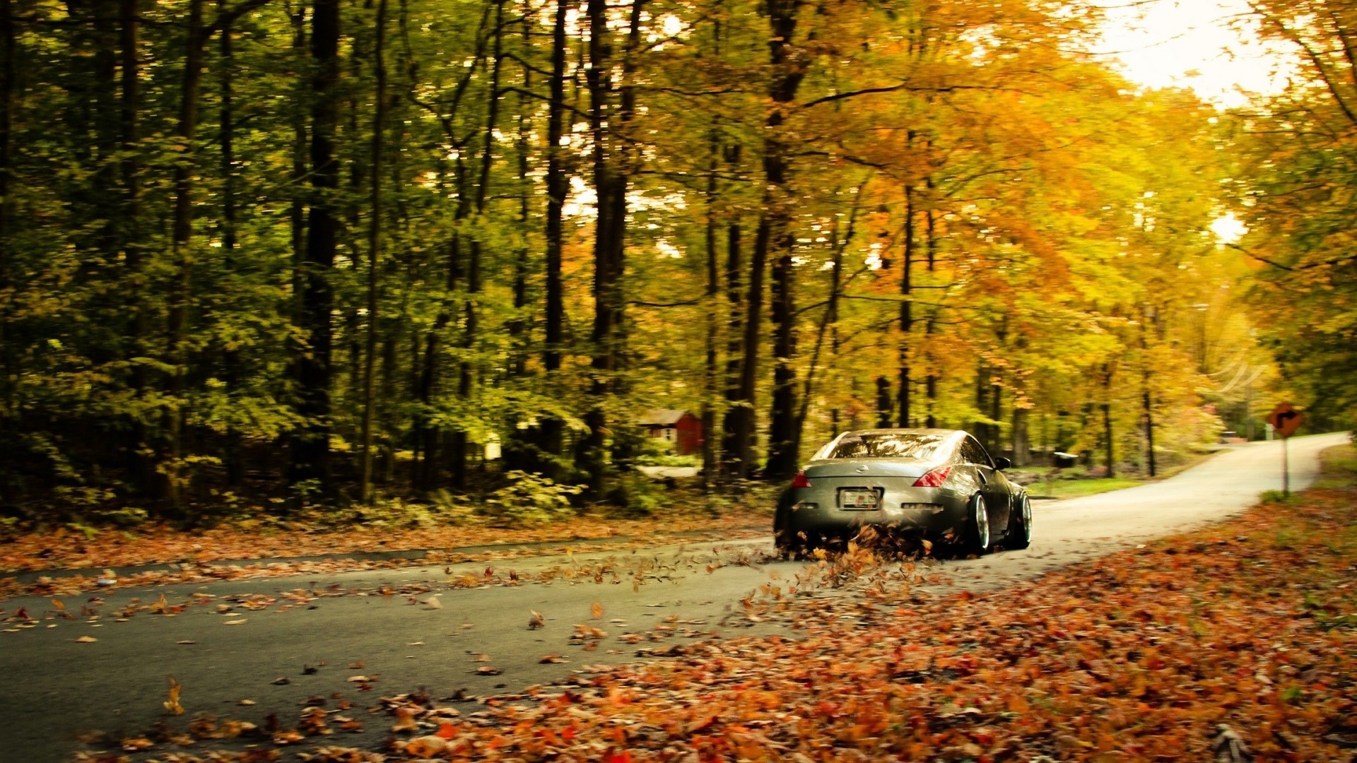 Nissan driving on a leaf-covered road in autumn HD Wallpaper