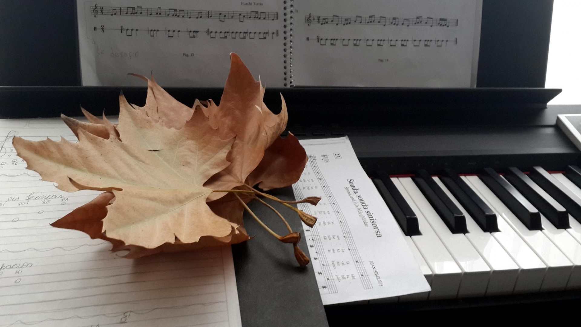 Dry leaves on a digital piano with sheet music HD Wallpaper