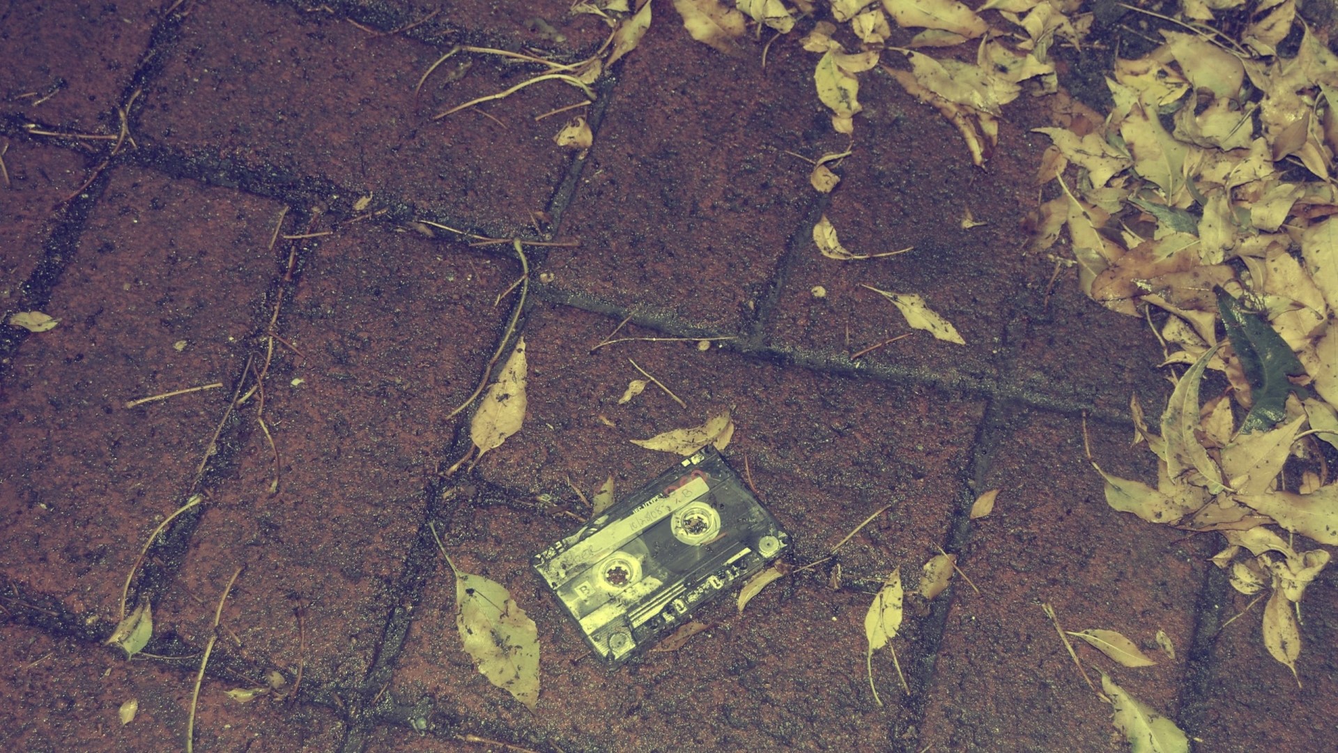 Cassette tape on brick path with fallen leaves HD Wallpaper