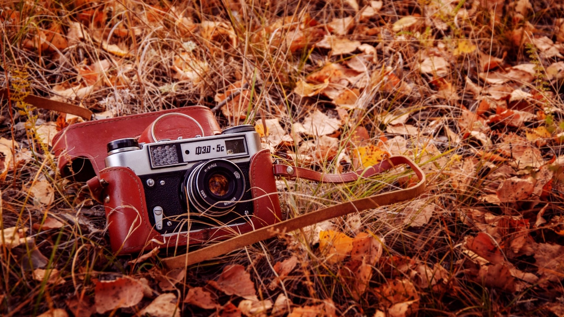 Vintage camera with leather case on autumn leaves HD Wallpaper