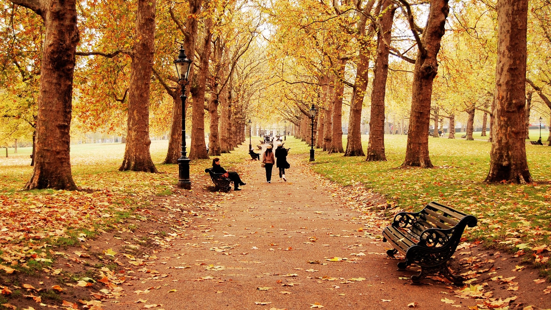 Autumn park path with people and benches HD Wallpaper