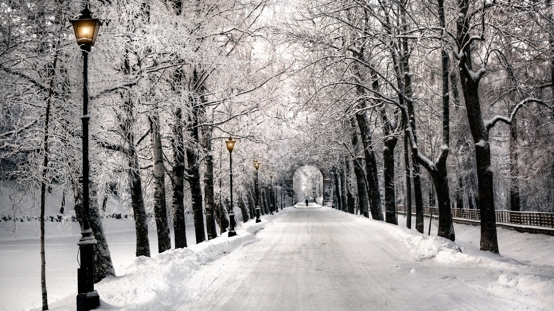 Snowy park path with trees and lampposts HD Wallpaper
